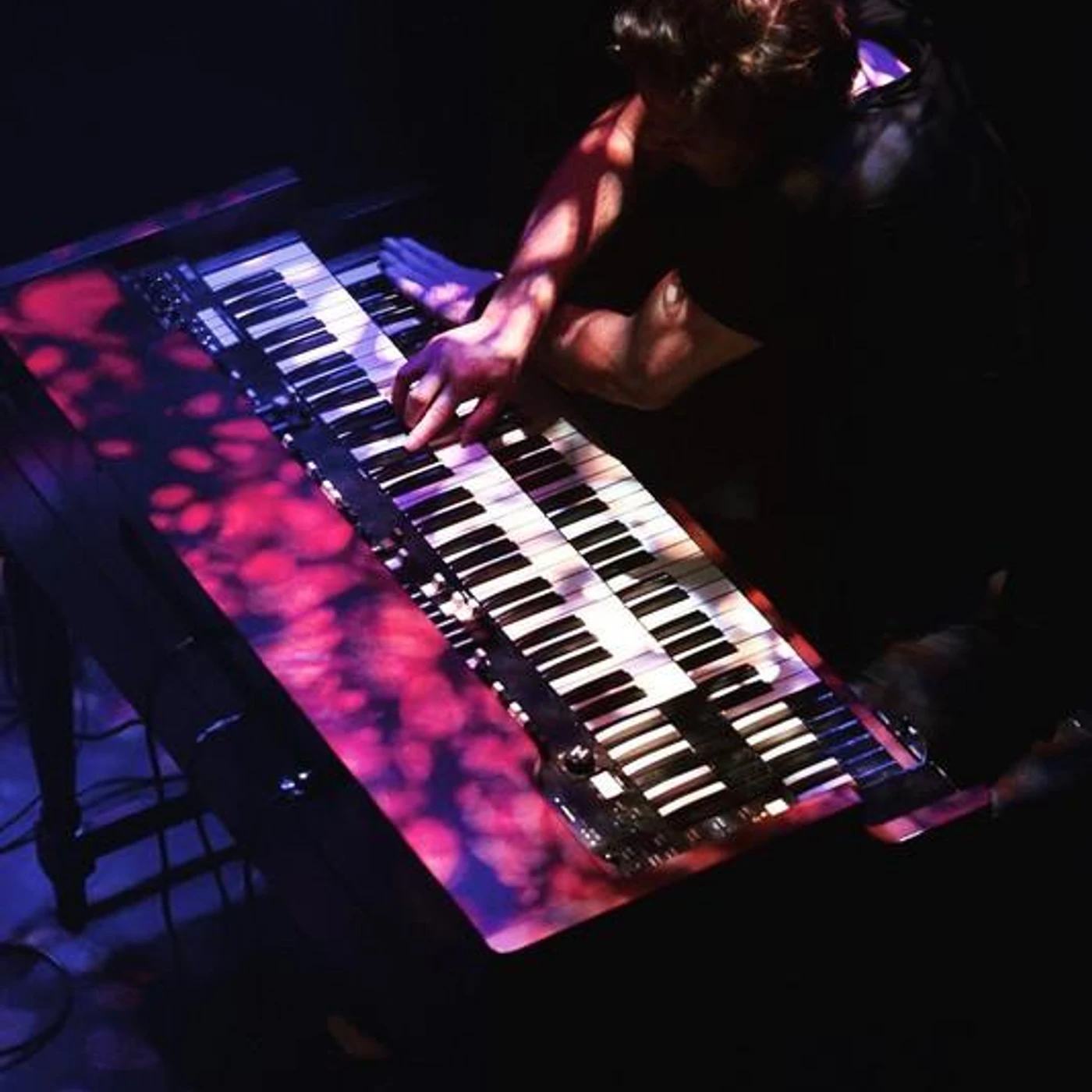 Frank Montis Organ Trio Brand Page