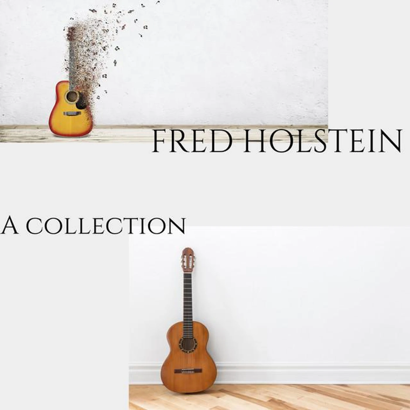 Fred Holstein