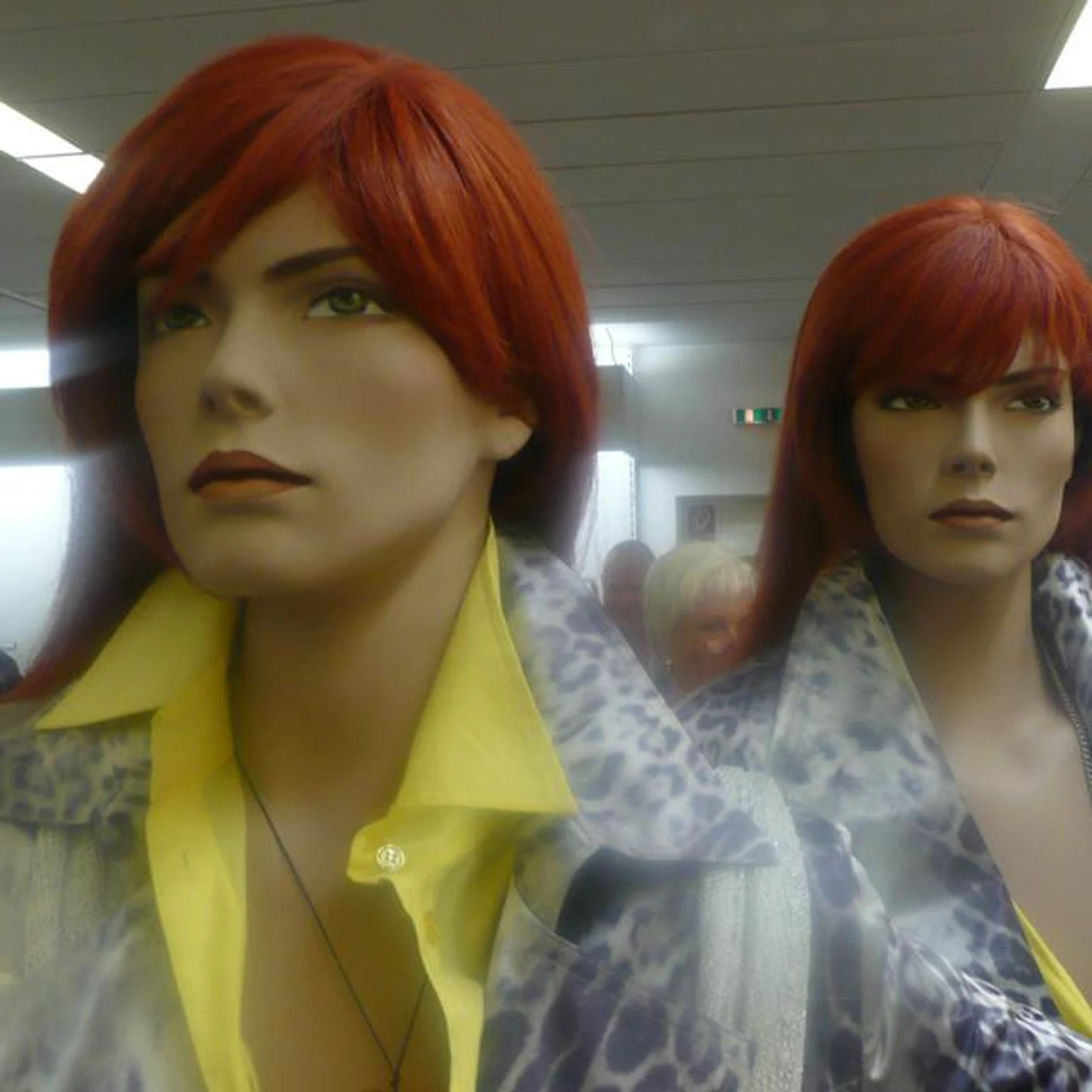 Fred und Luna Brand Page