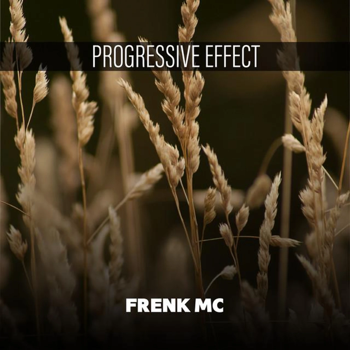 Frenk Mc Brand Page