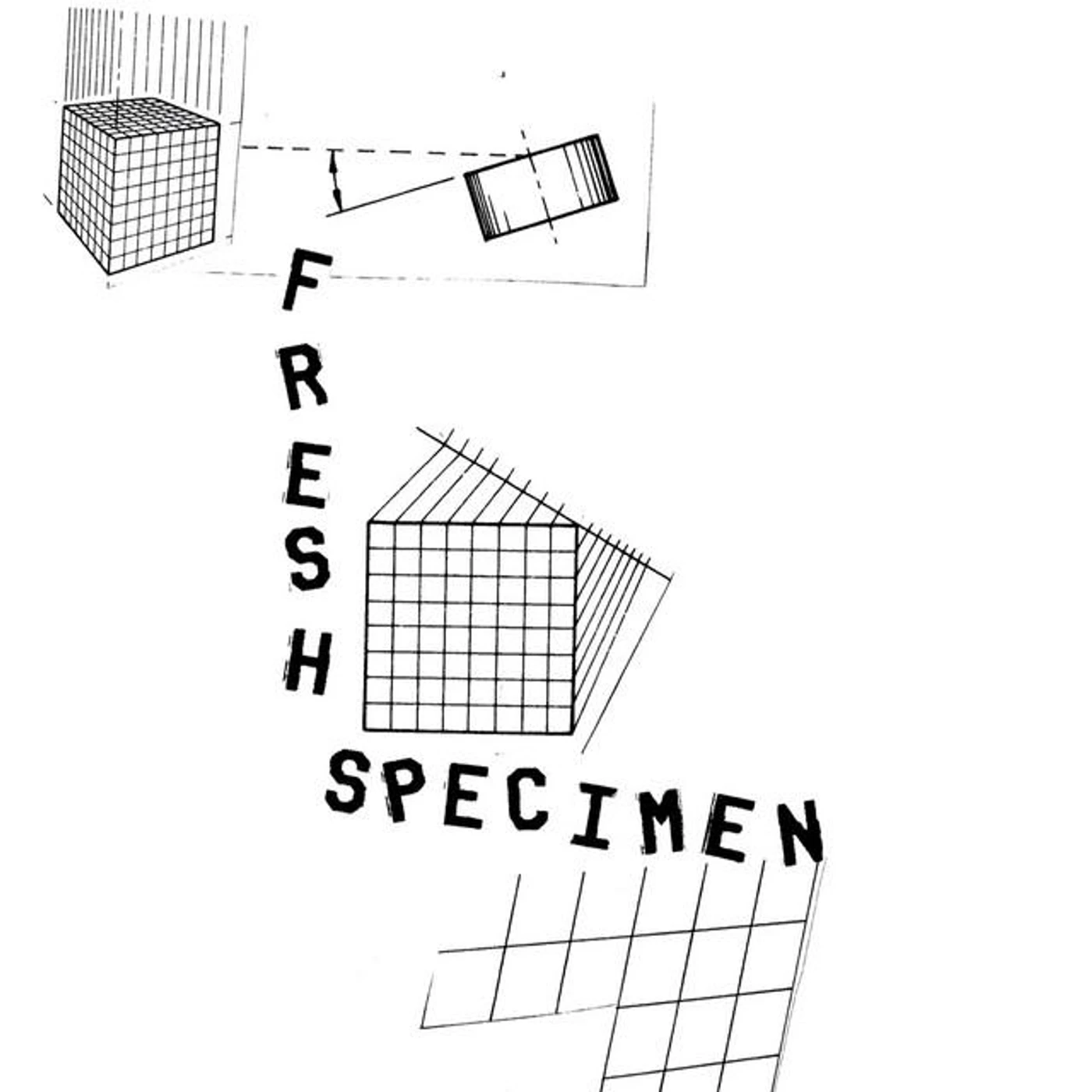 Fresh Specimen Brand Page