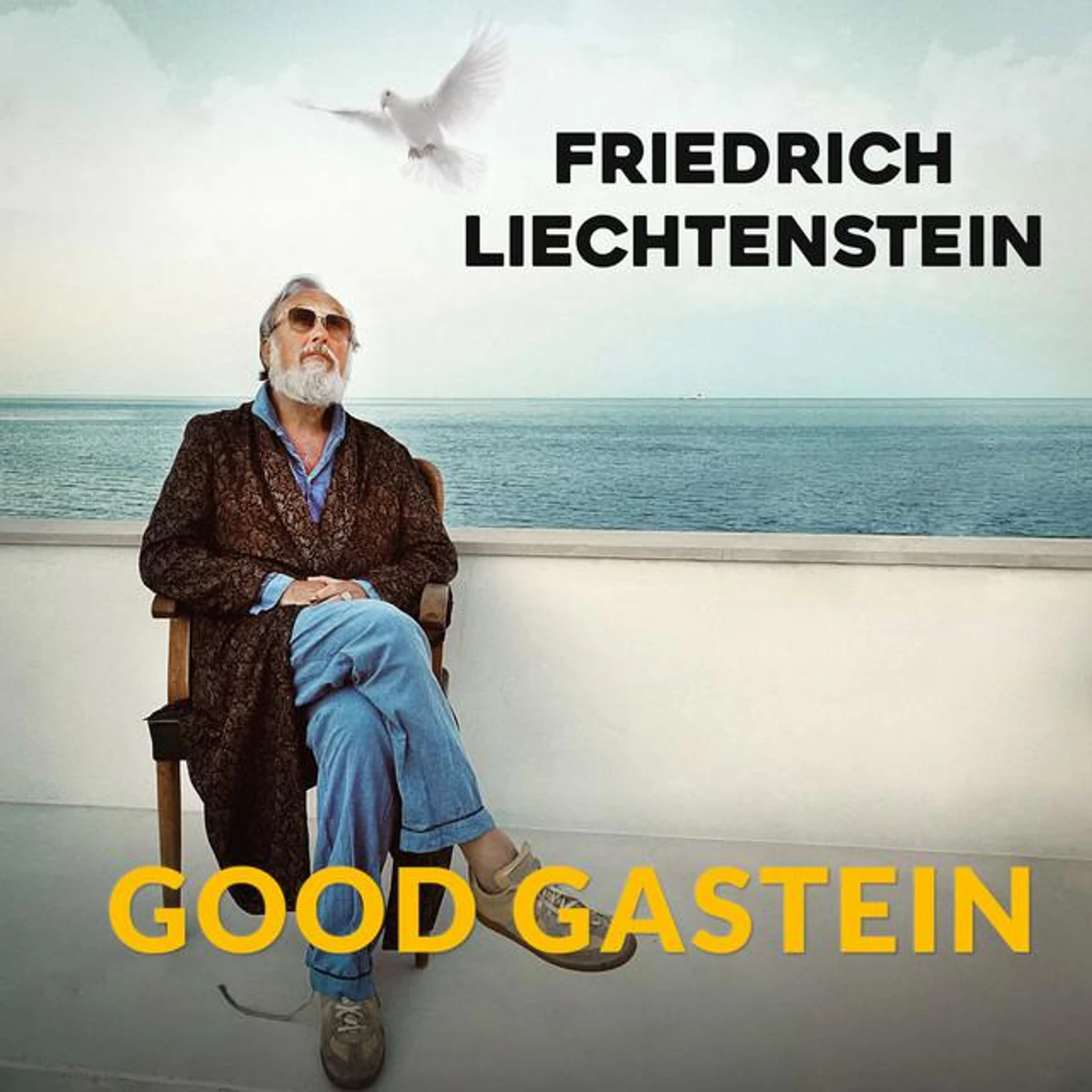 Friedrich Liechtenstein Brand Page