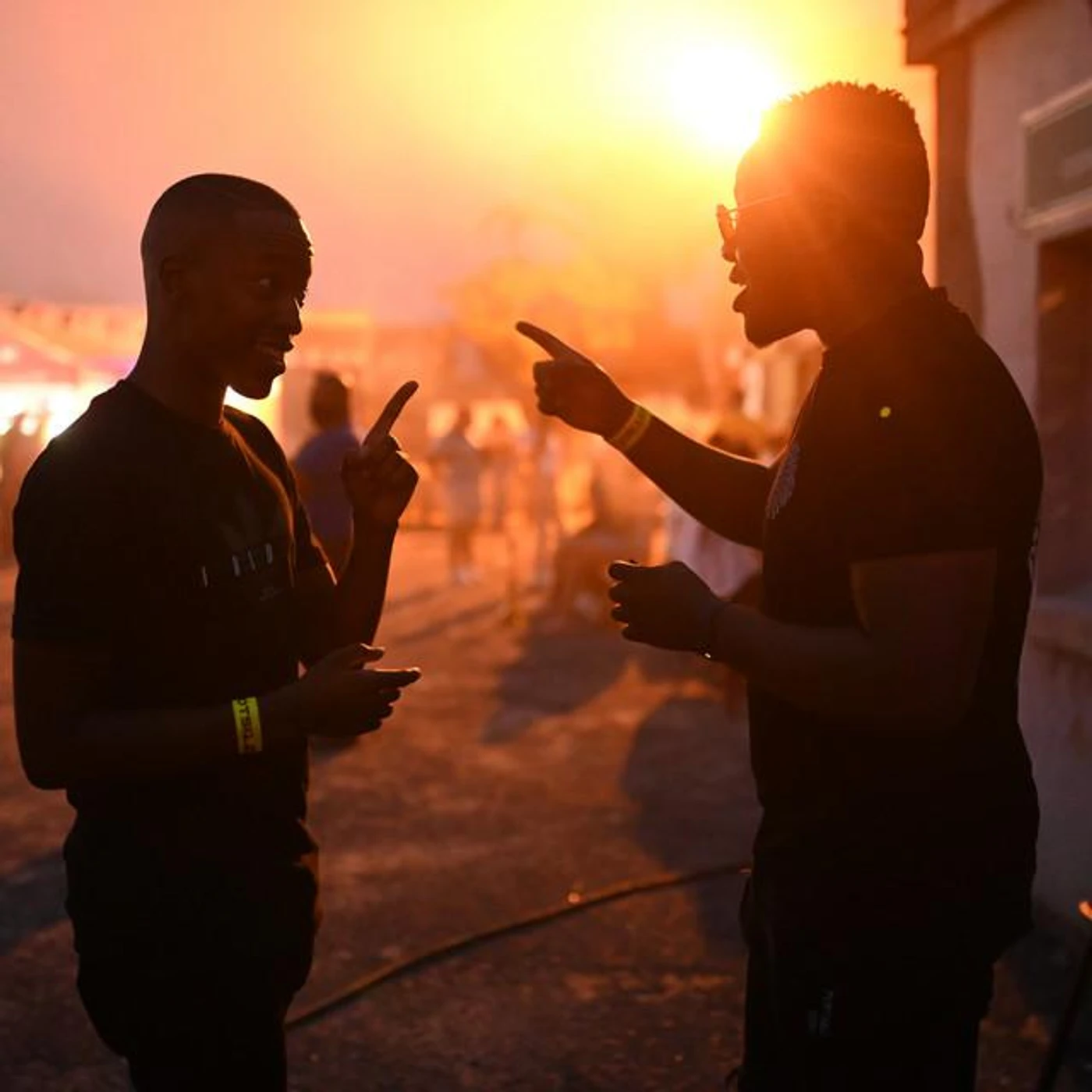 Frigid Armadillo Brand Page