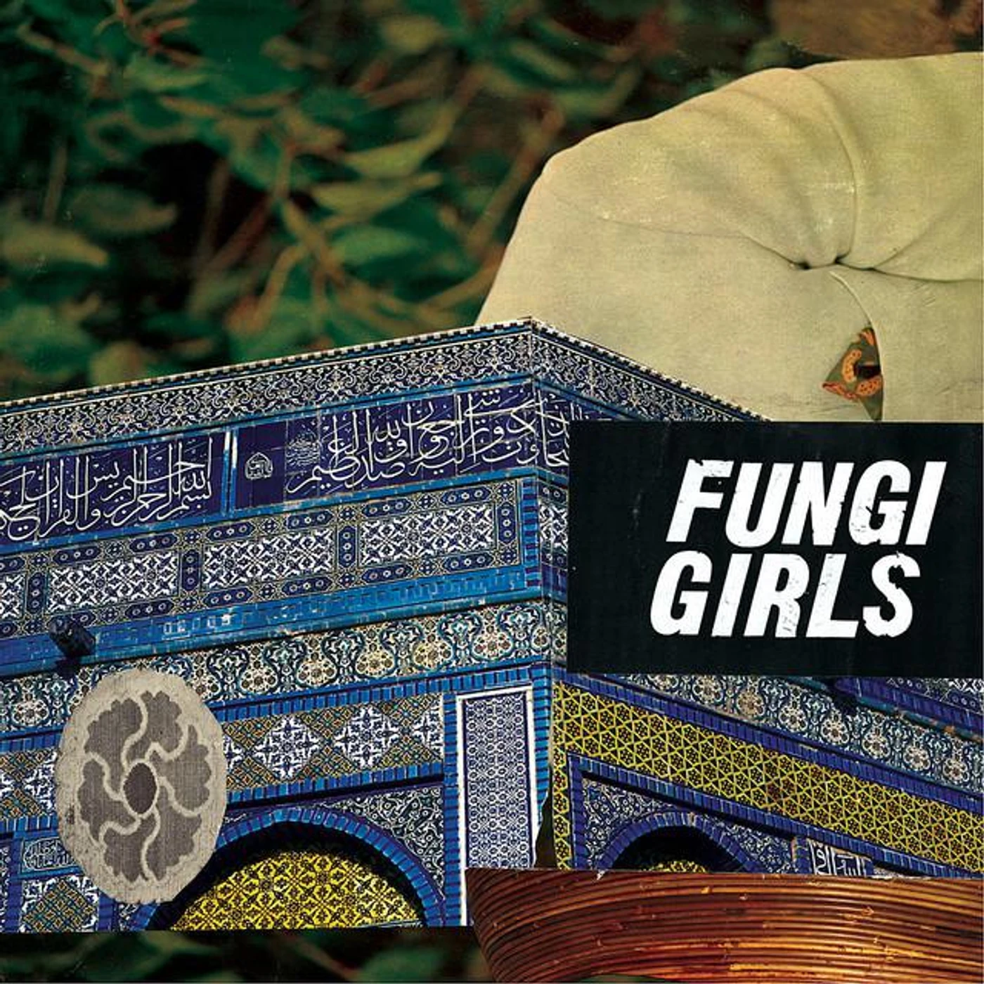 Fungi Girls Brand Page