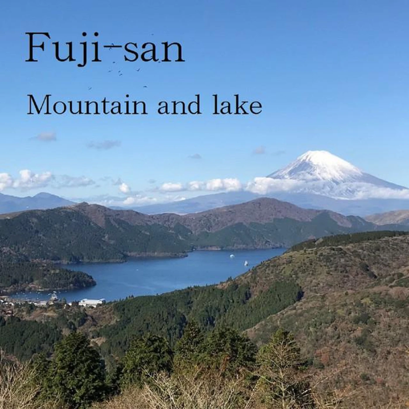 Fuji-san