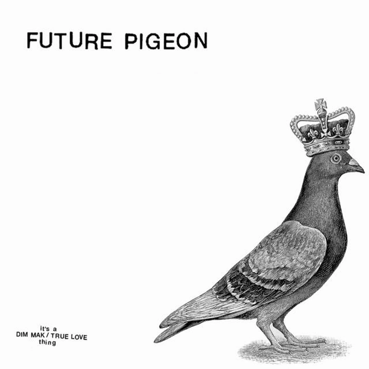 Future Pigeon Brand Page