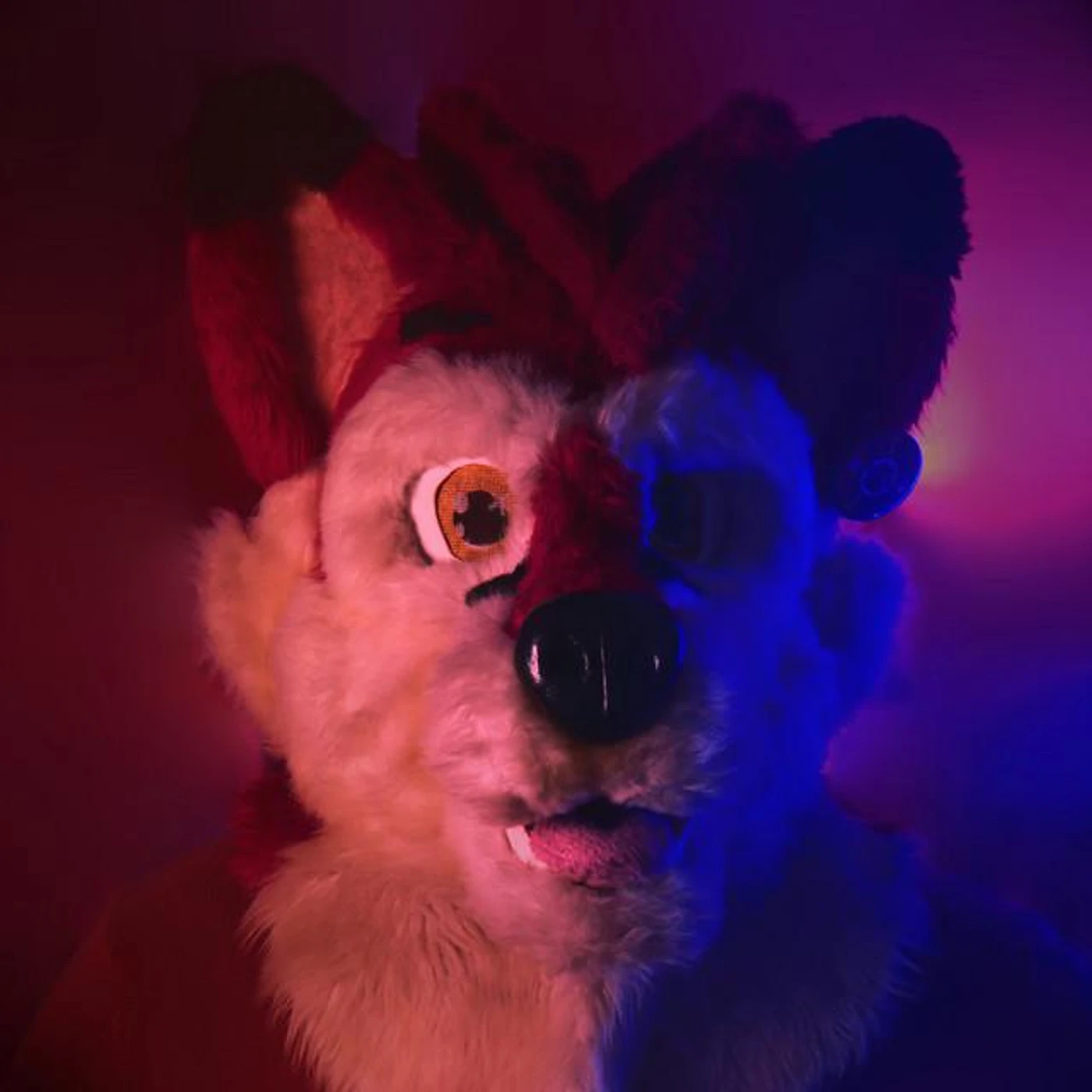 Fyko Fox Brand Page