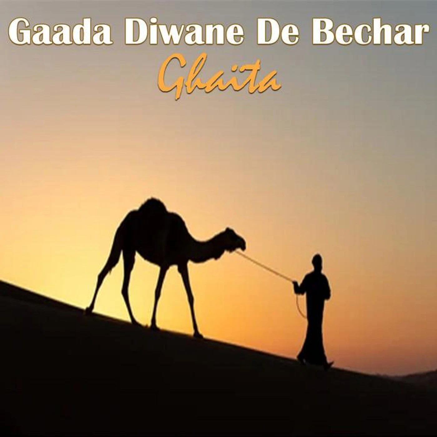 Gaada Diwane De Béchar
