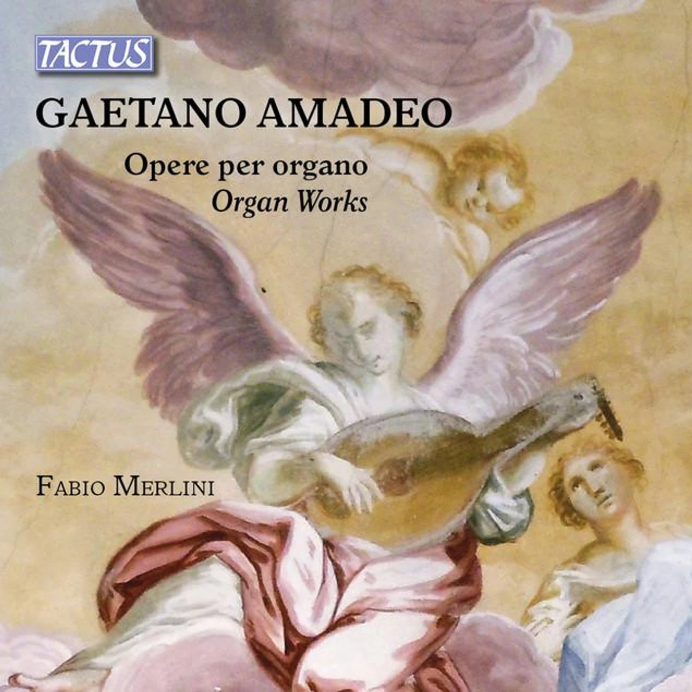 Gaetano Amadeo