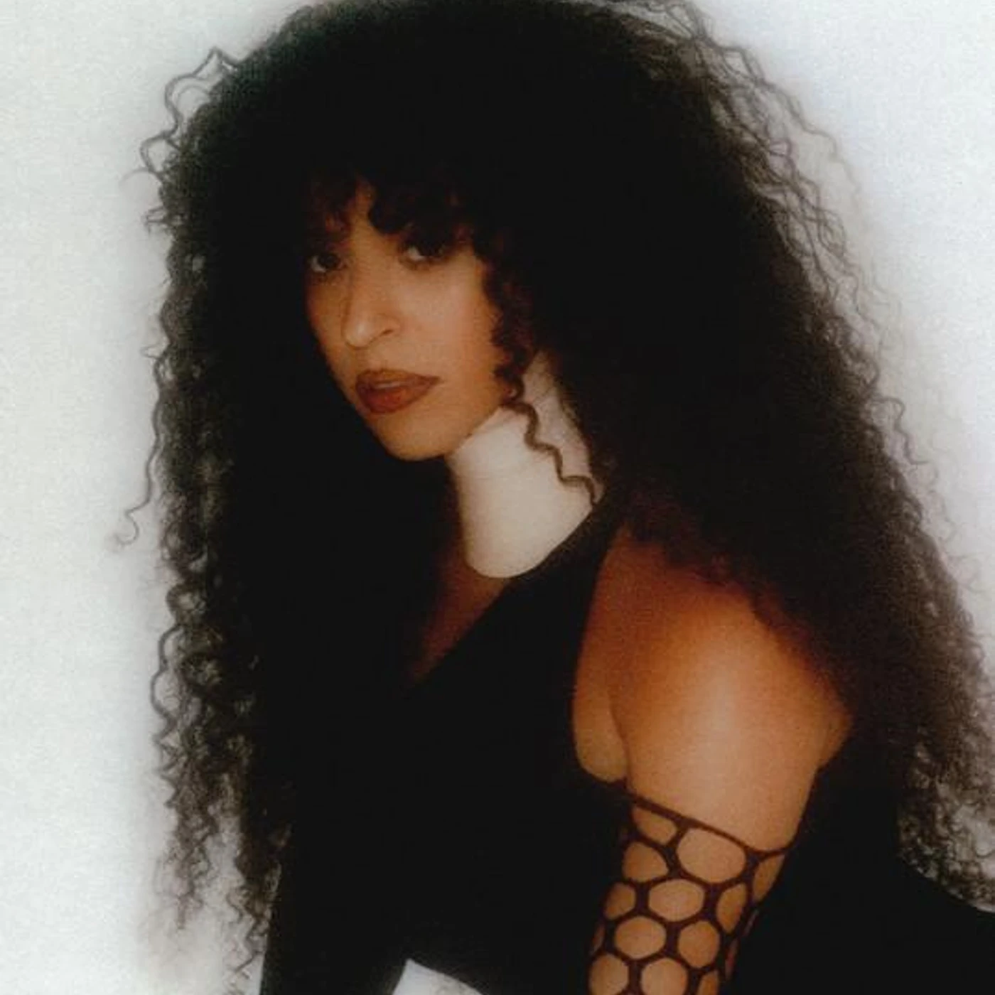 Gavin Turek