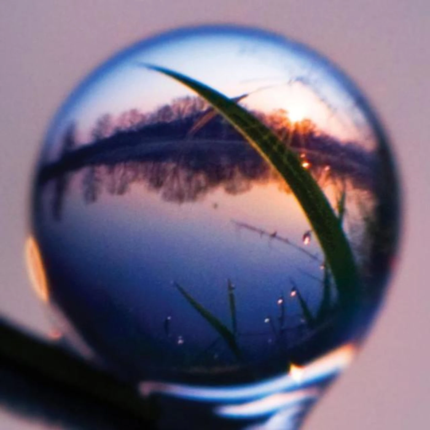 General Fuzz Brand Page