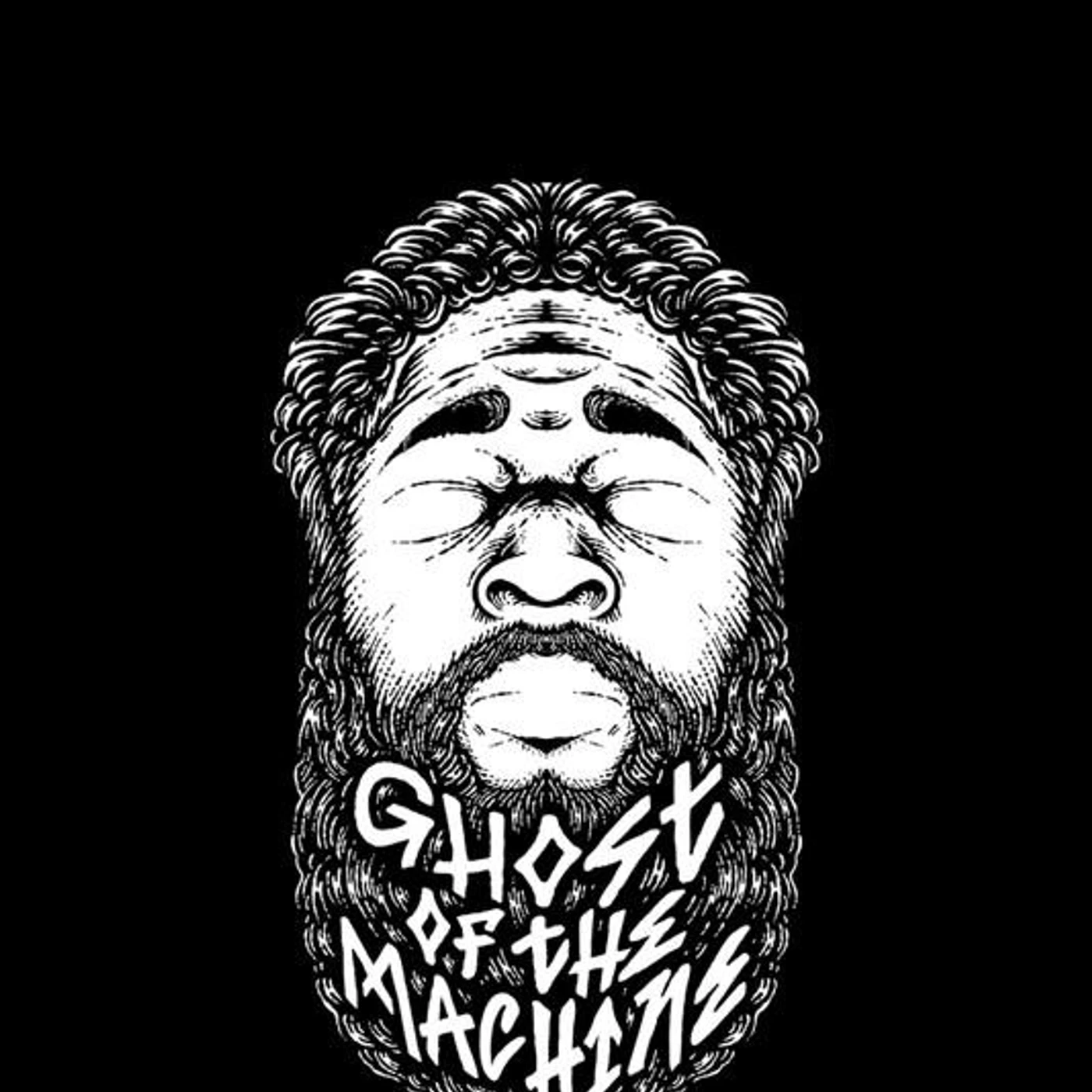 Ghost Of The Machine