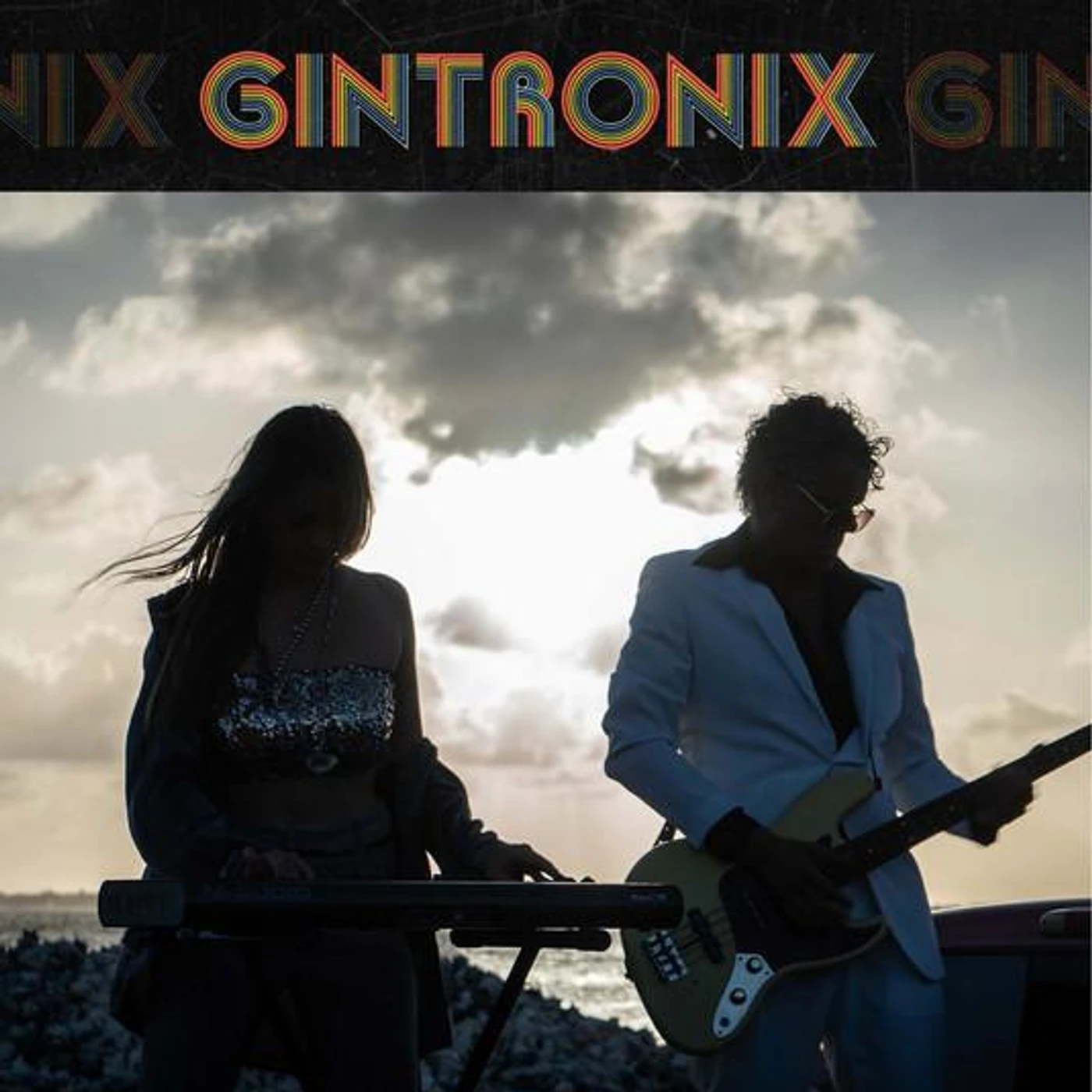 Gintronix Brand Page