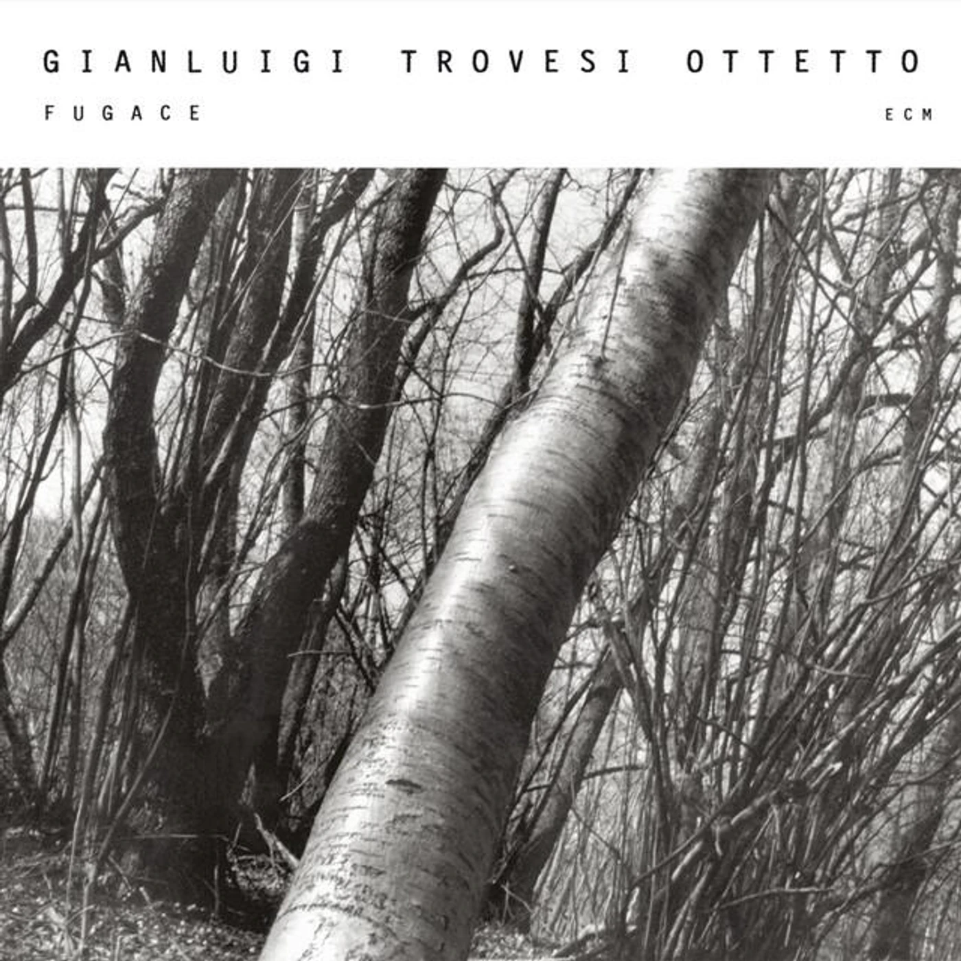 Gianluigi Trovesi Ottetto Brand Page