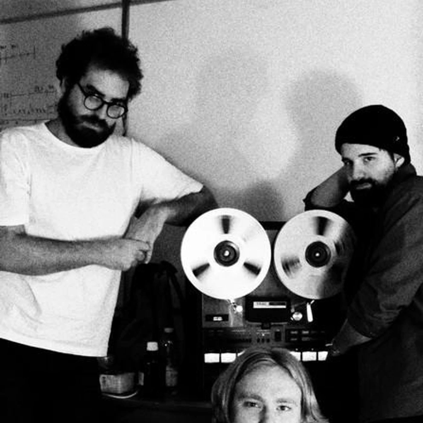 Giant Moa Brand Page