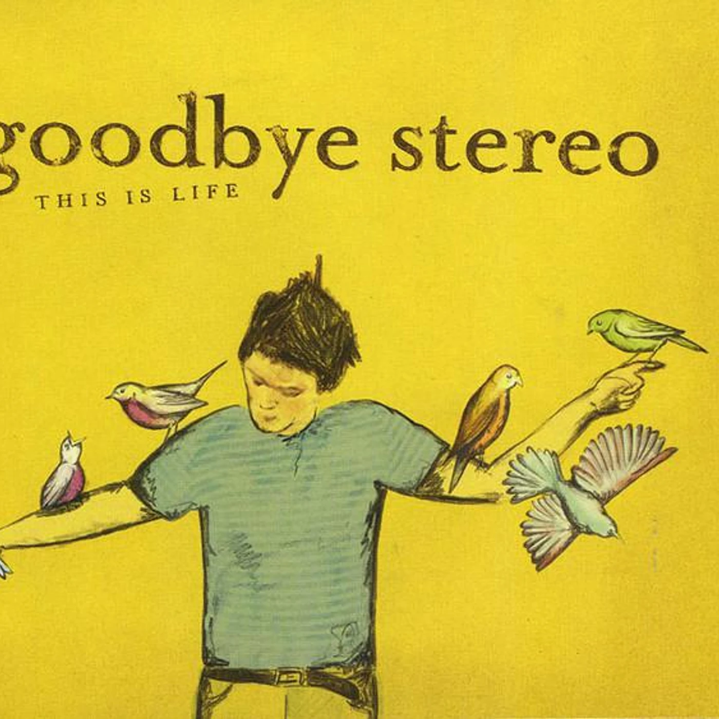 Goodbye Stereo