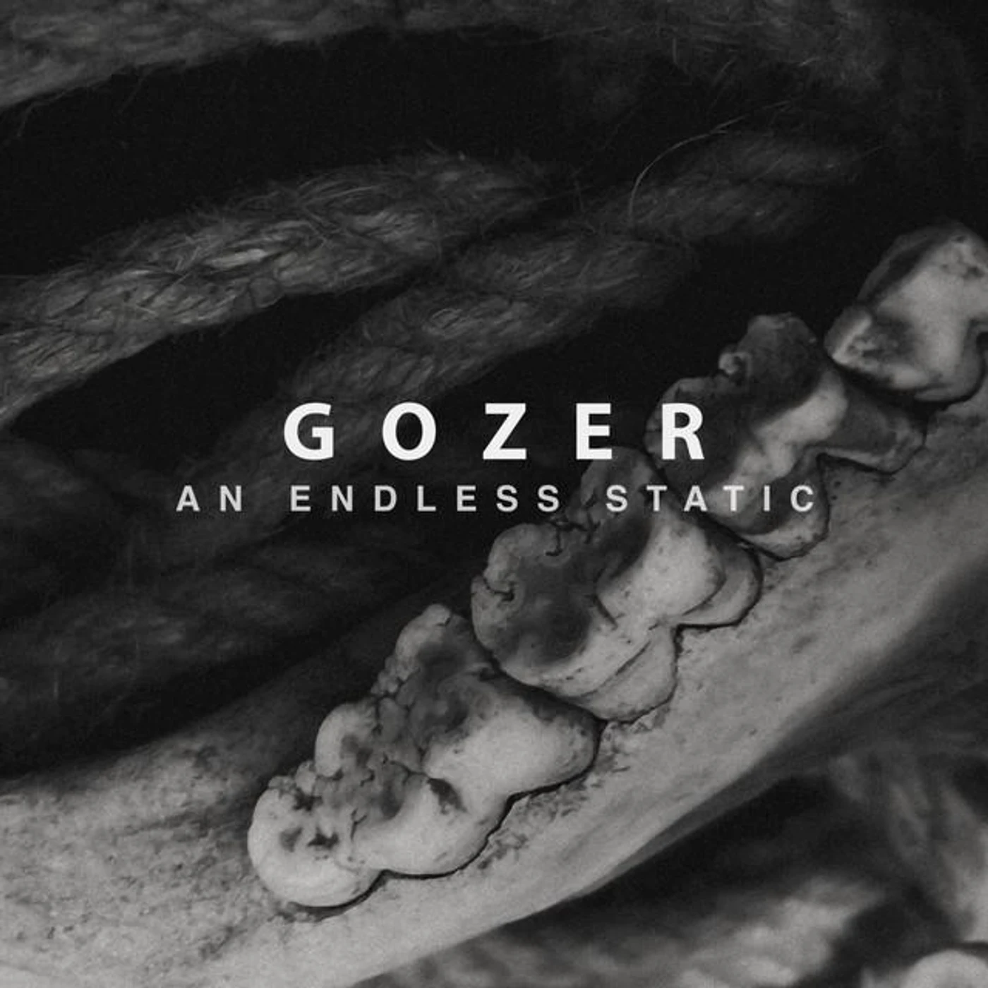 Gozer Brand Page