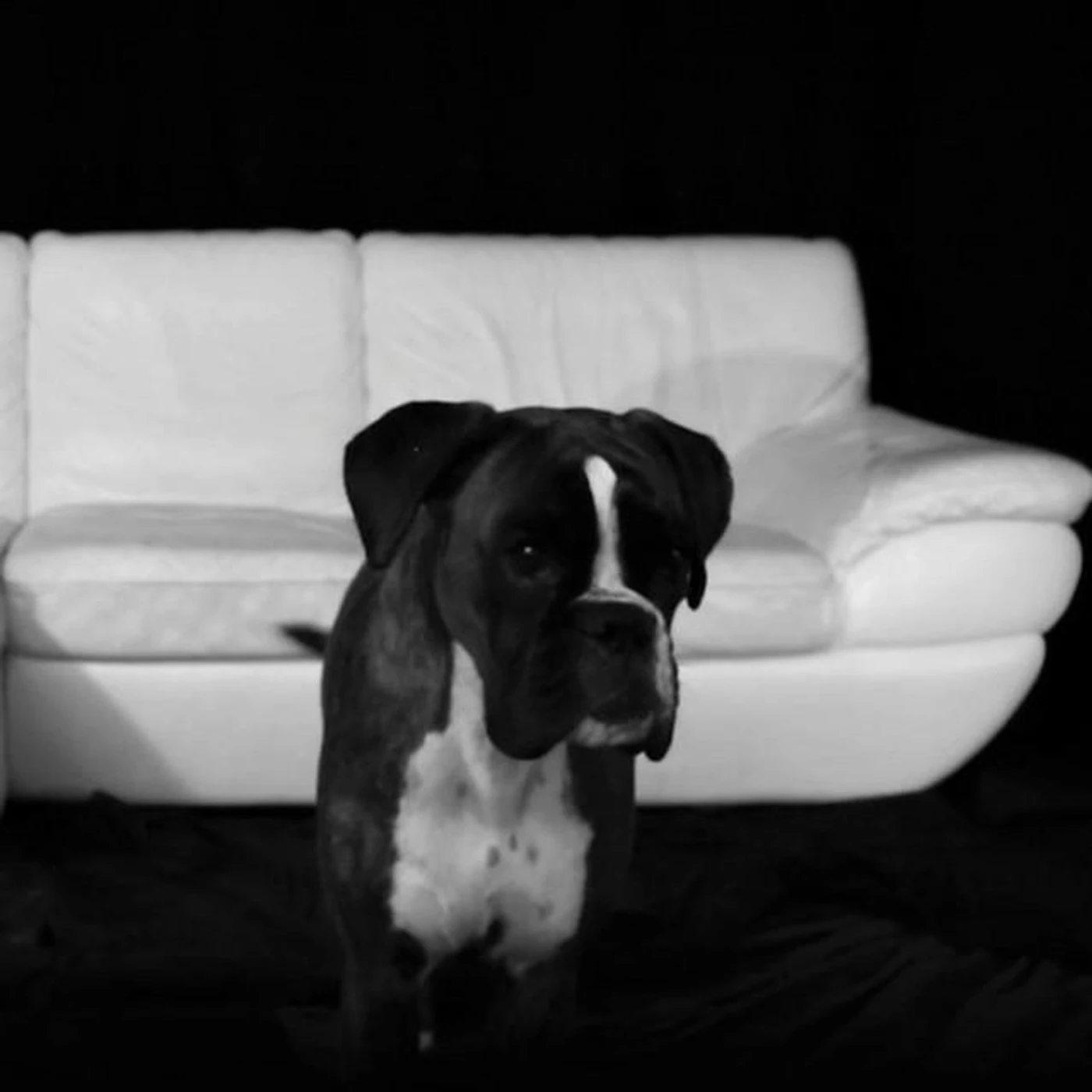 Glitterpaard Brand Page