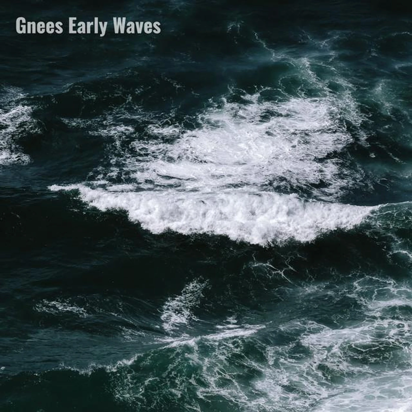 Gnees Early Waves Brand Page