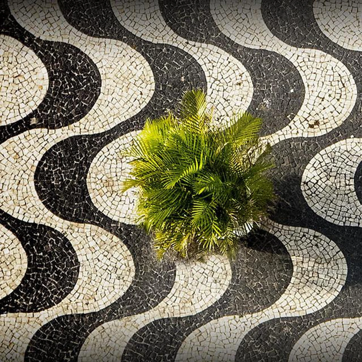 Groove Da Praia Brand Page