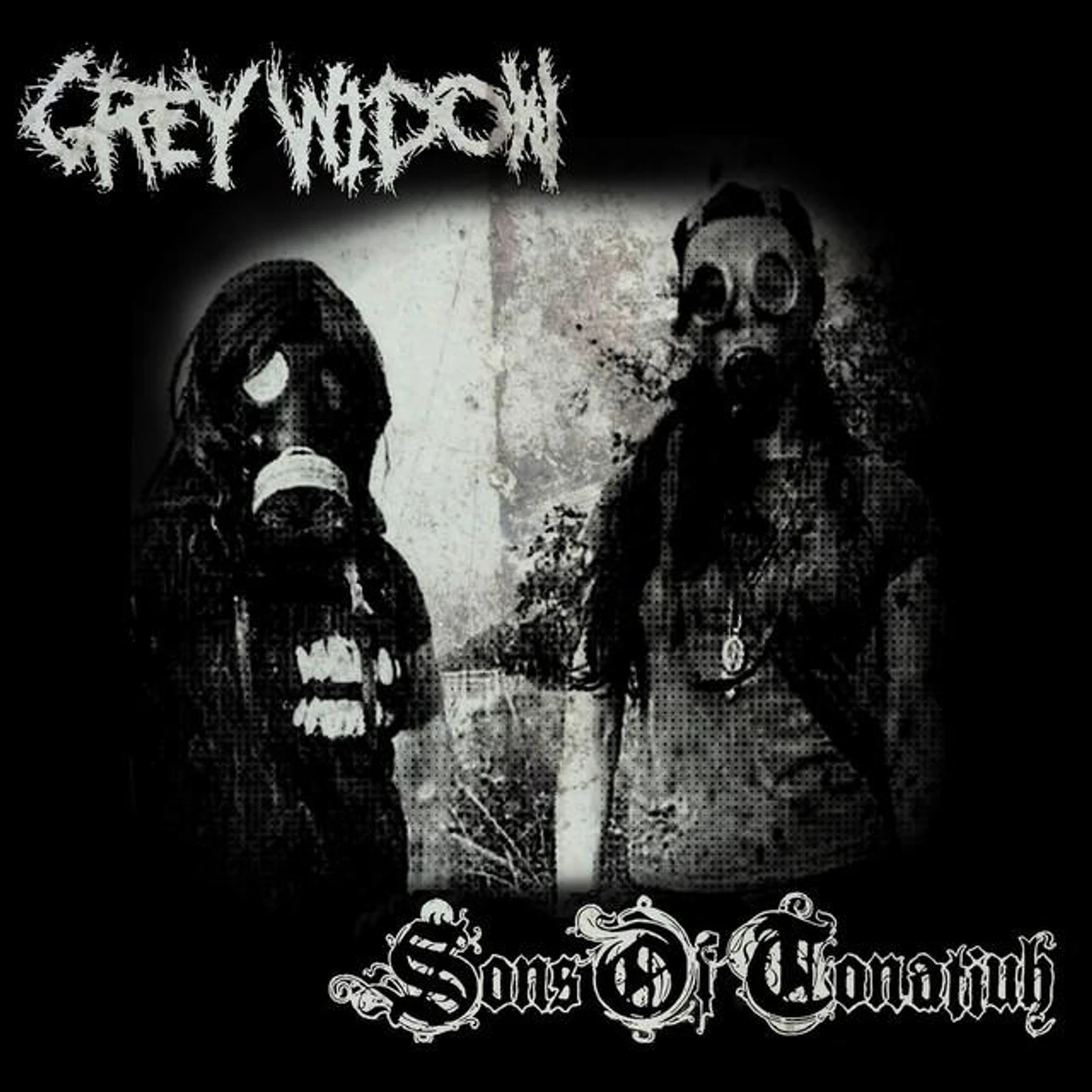 Grey Widow