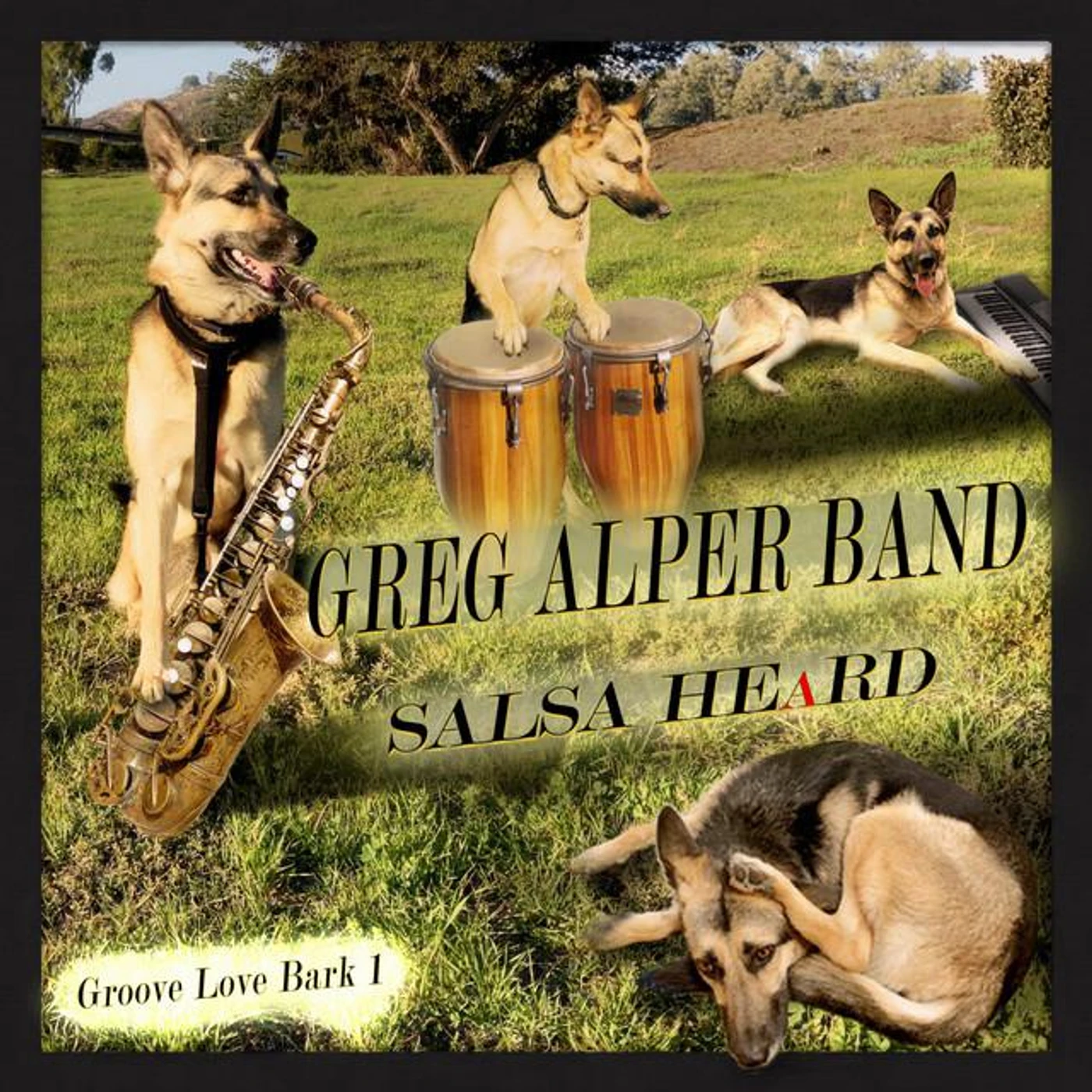 Greg Alper Band Brand Page