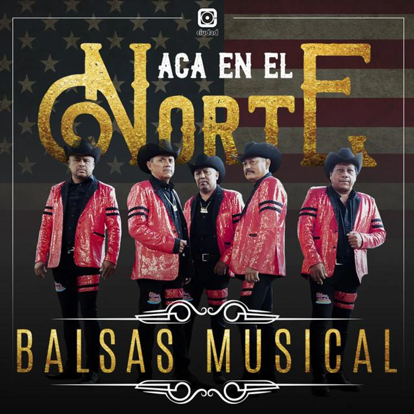 Grupo Balsas Musical Brand Page
