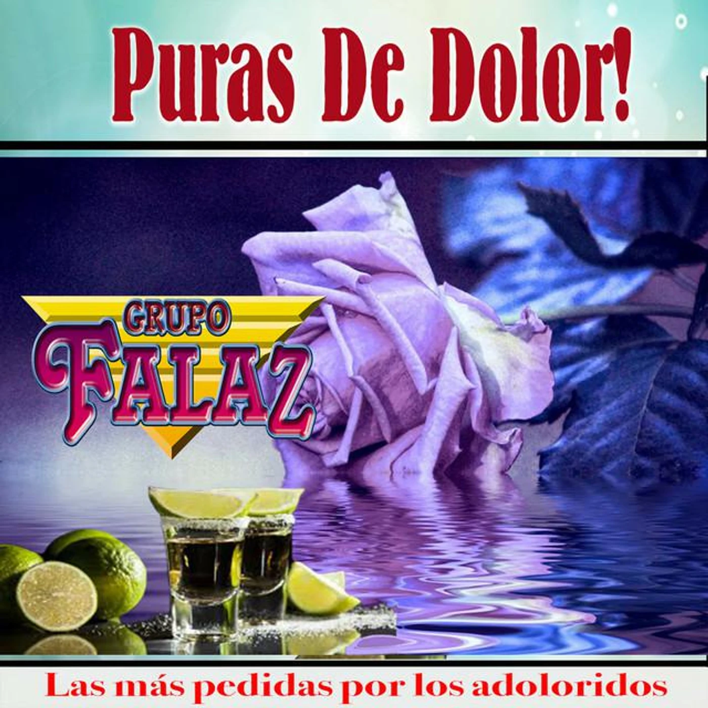 Grupo Falaz