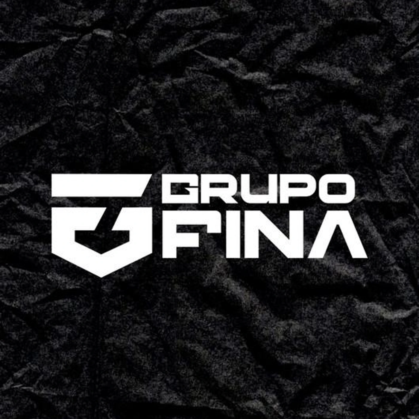 Grupo Fina