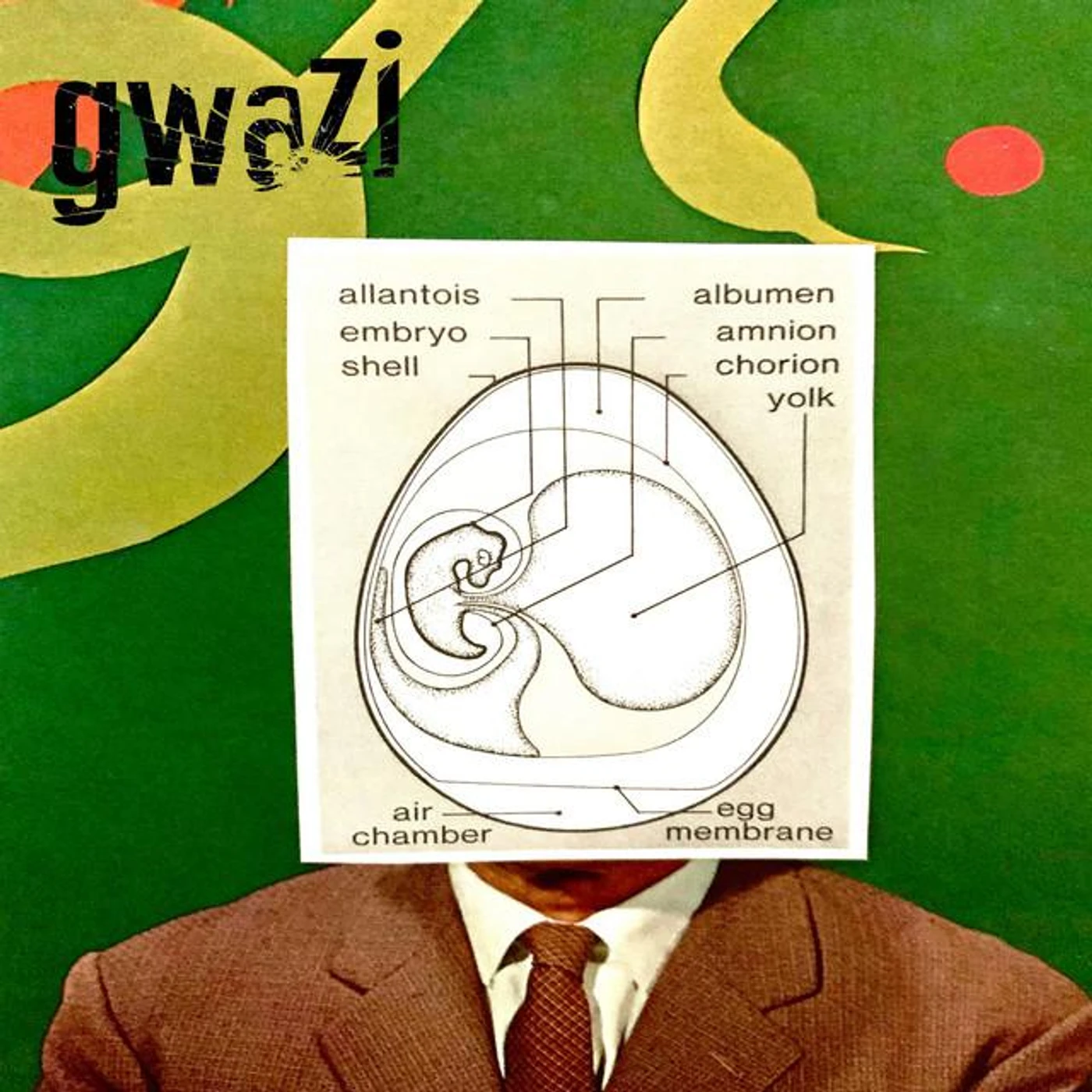 Gwazi Brand Page