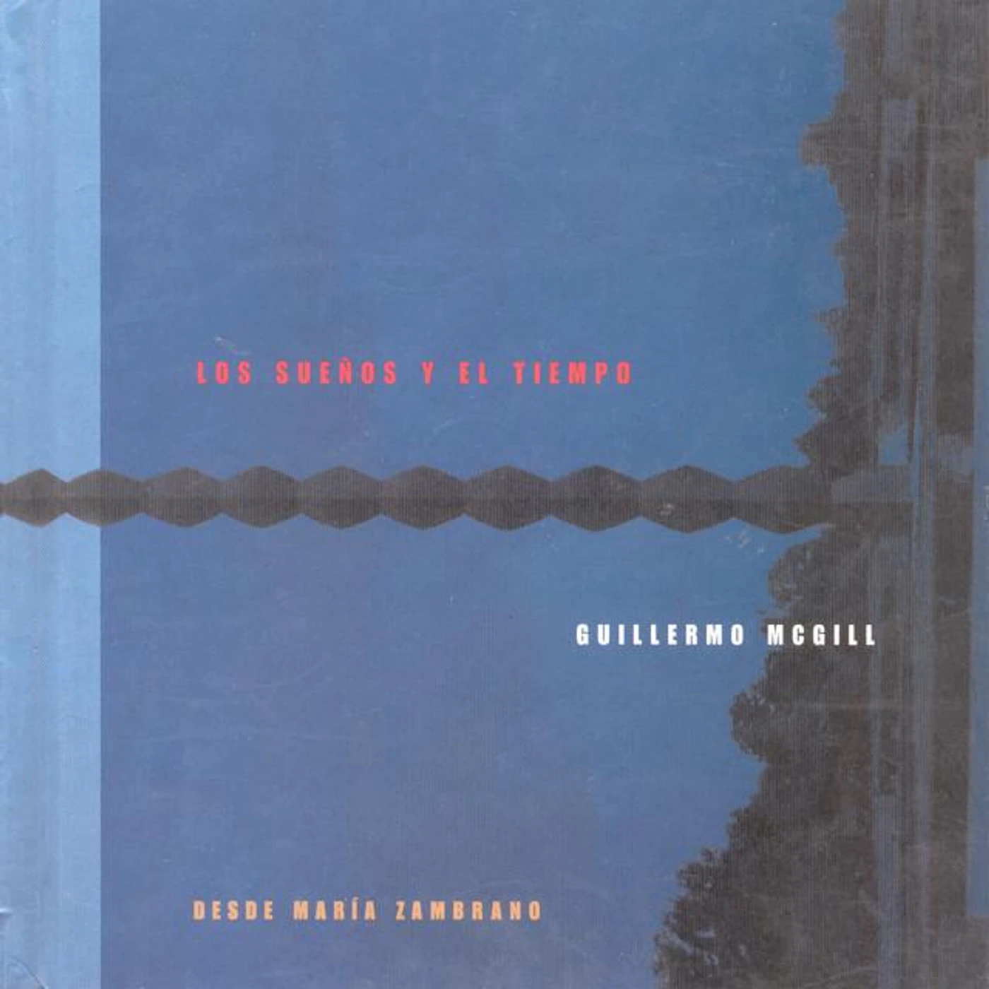 Guillermo McGill Brand Page