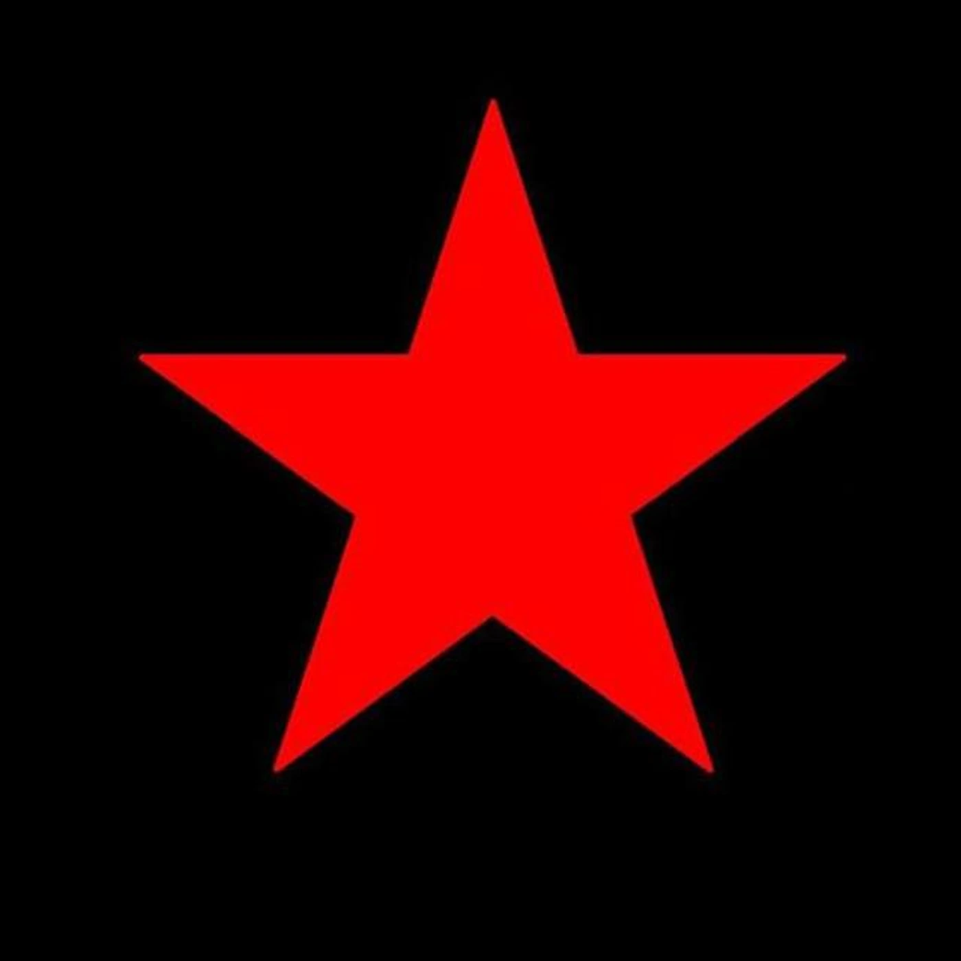 Guillermina Brand Page