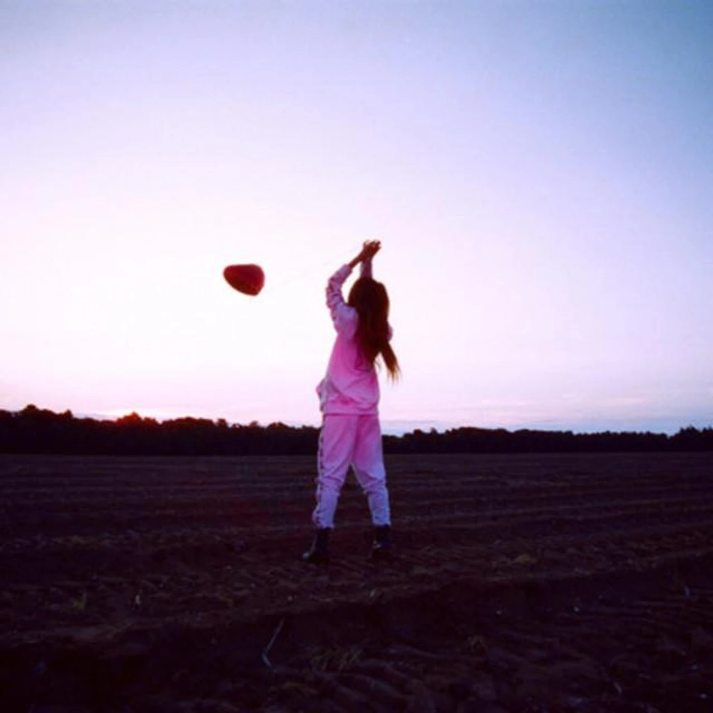 Gus Harvey Brand Page