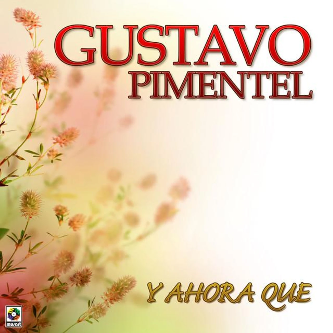 Gustavo Pimentel Brand Page