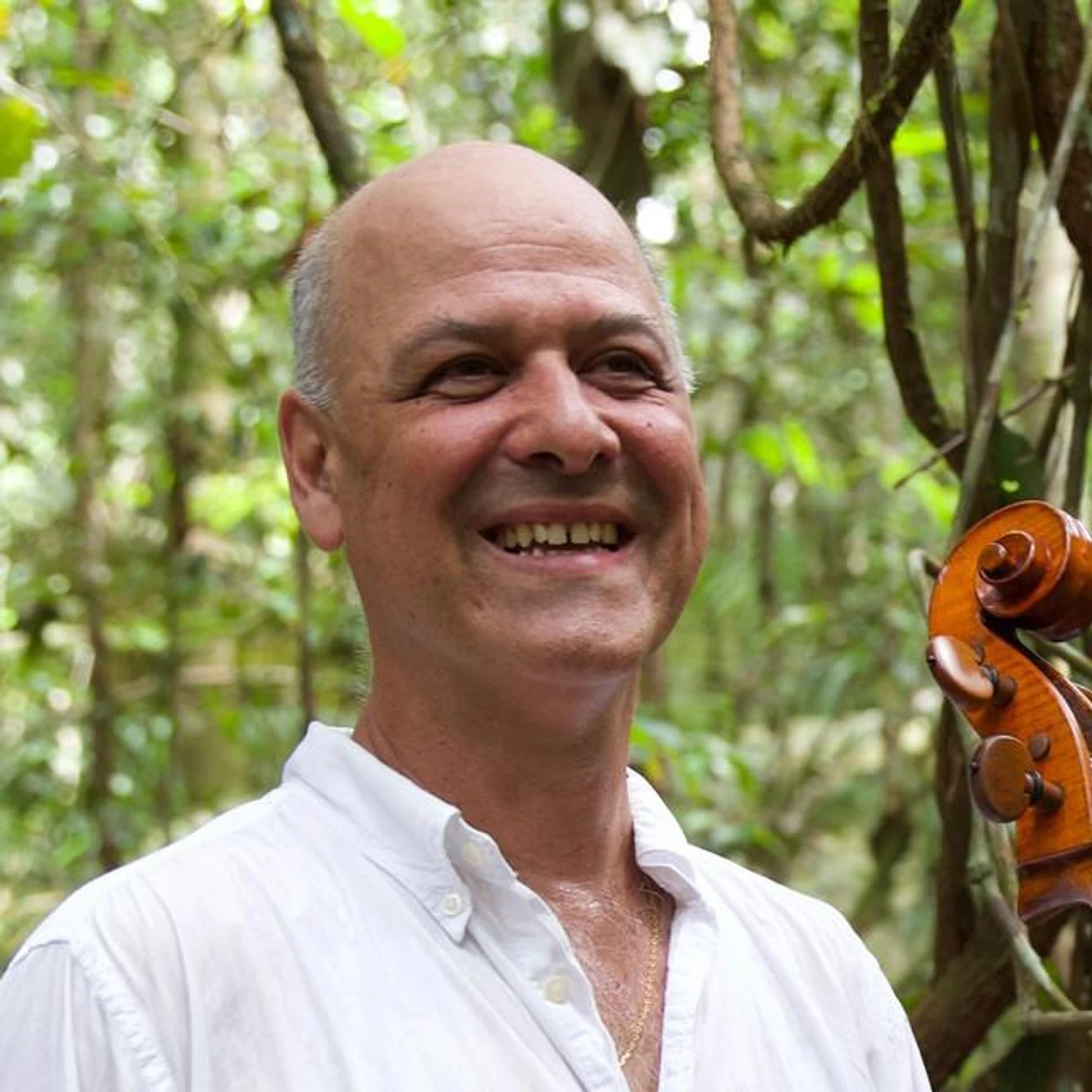 Gustavo Tavares Brand Page