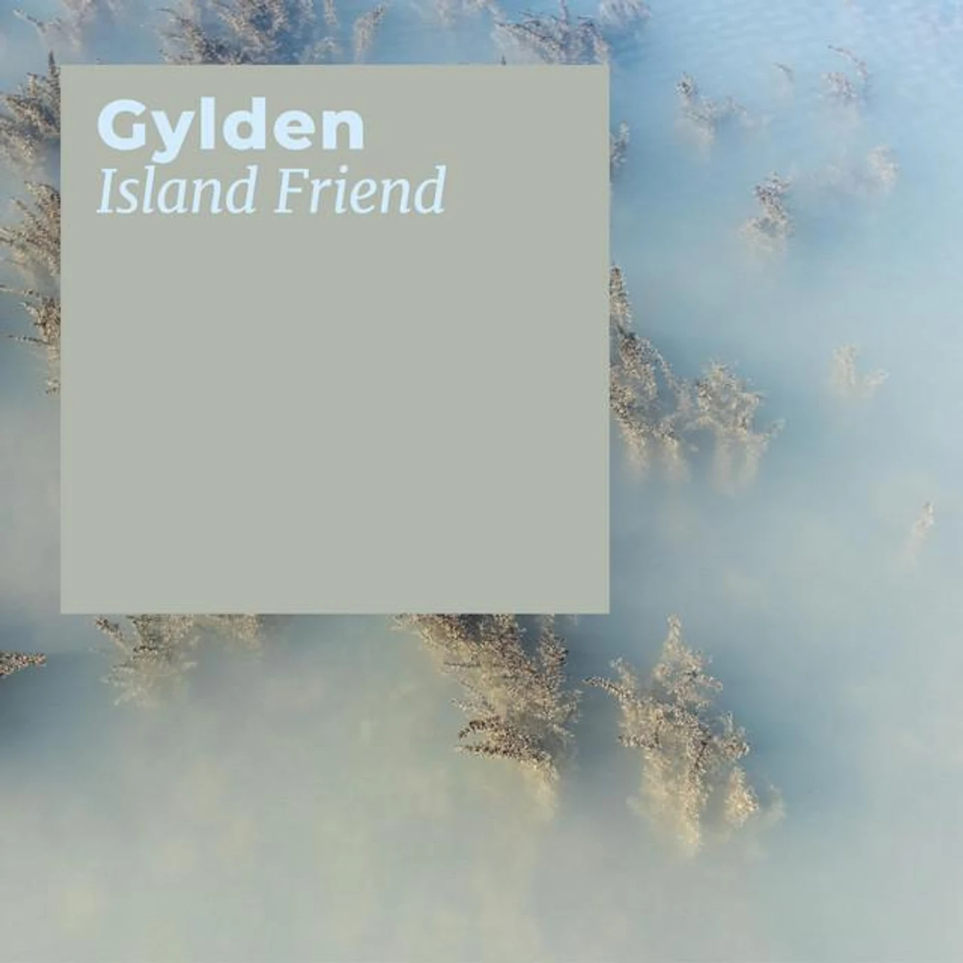 Gylden Brand Page
