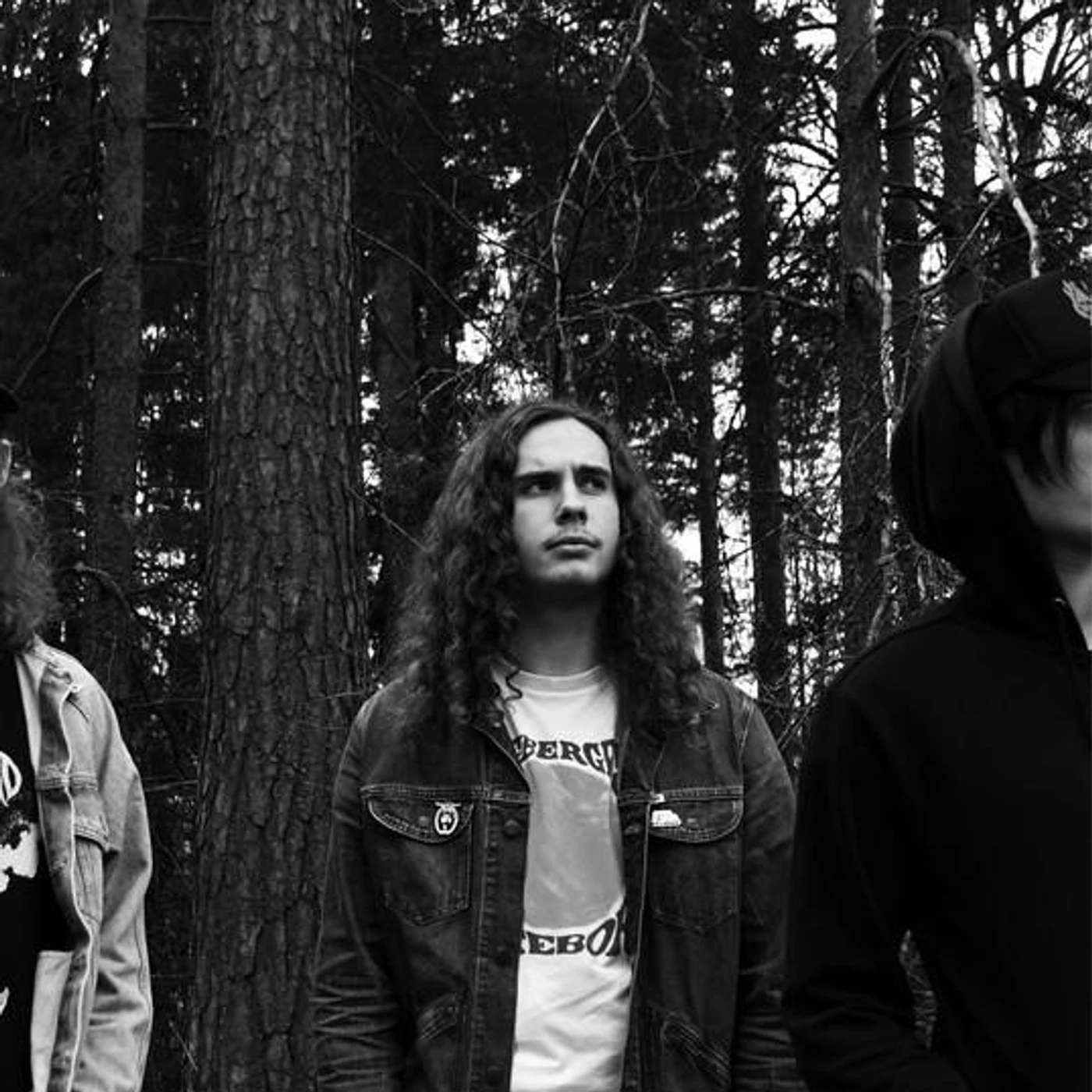 HÄSTSPARK Brand Page