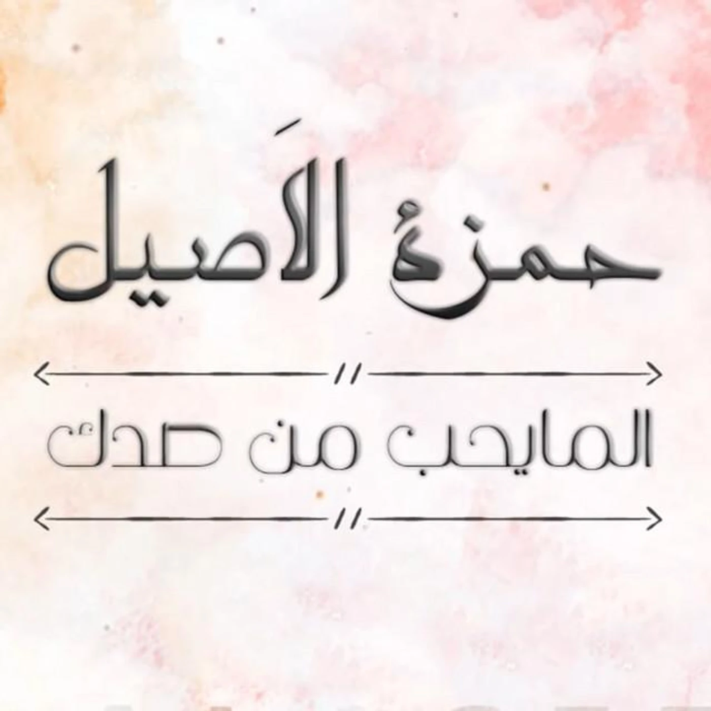 Hamza El Aseel