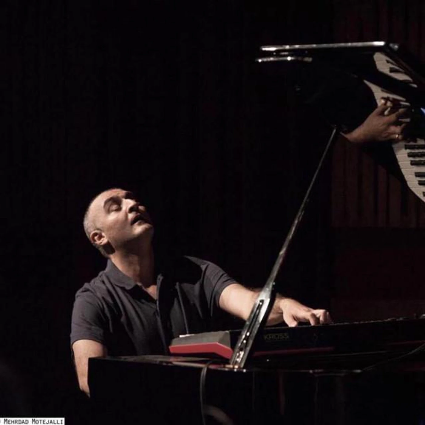Hamzeh Yeganeh Brand Page
