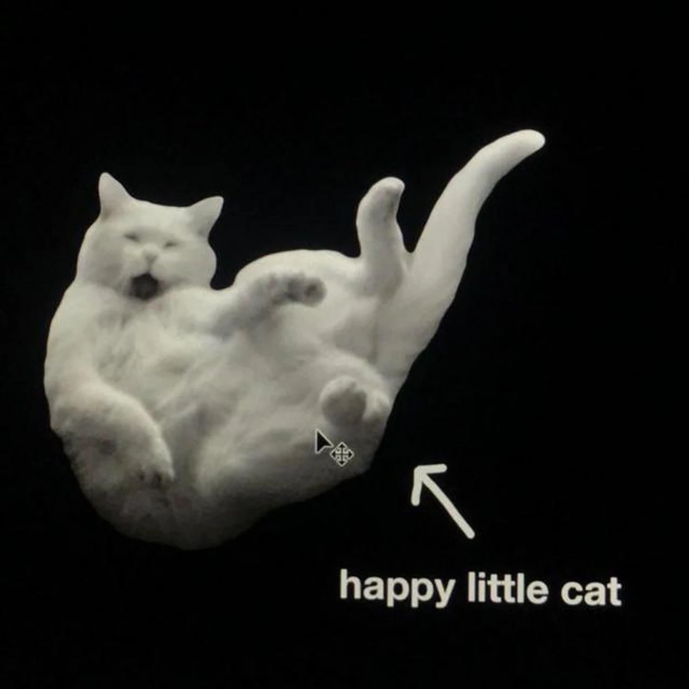 happy little cat