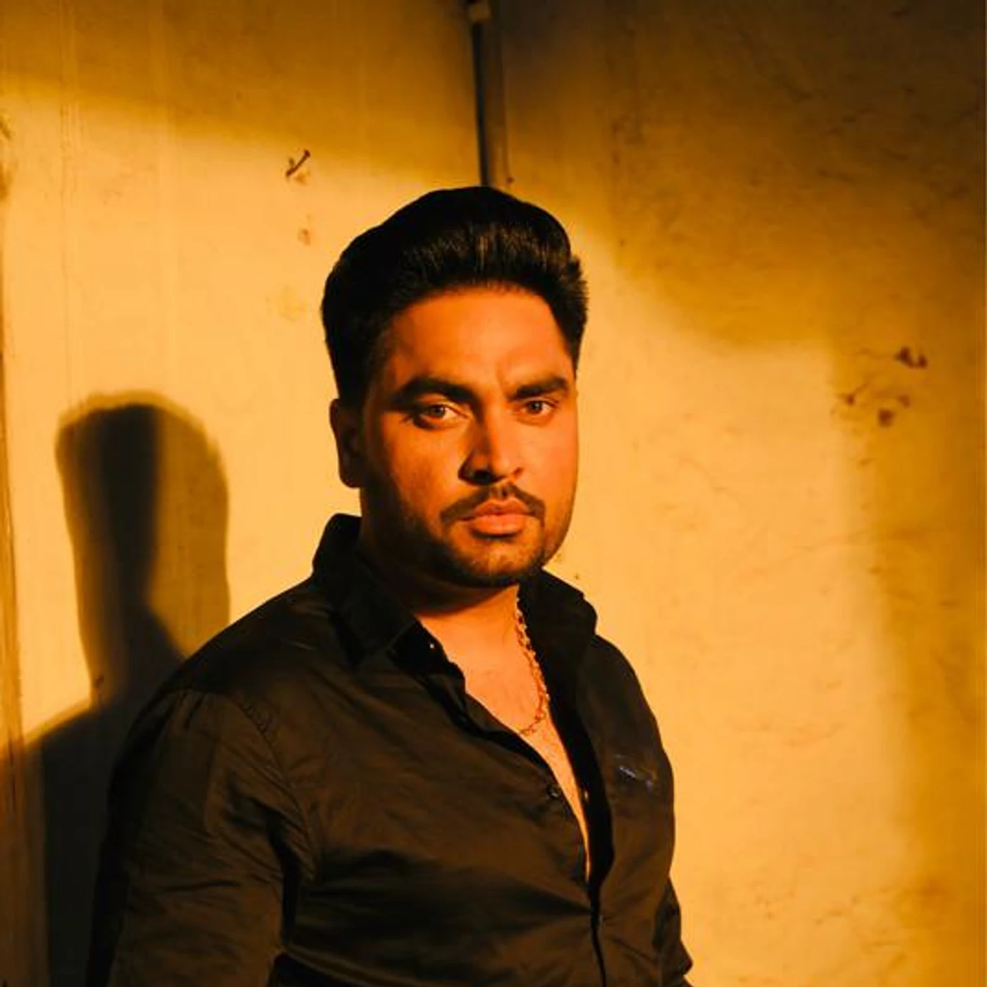 Harmeet Aulakh Brand Page