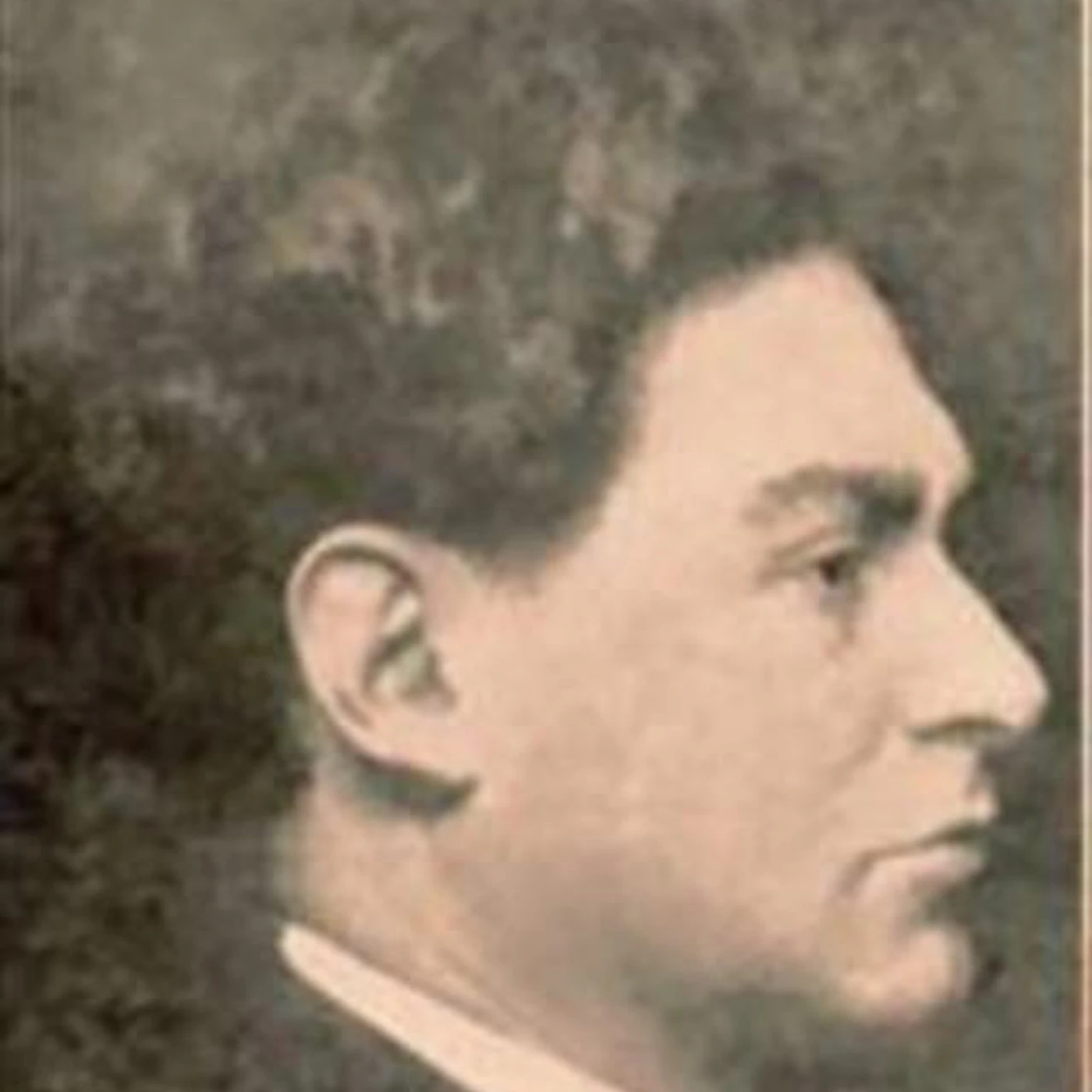 Harold Bauer Brand Page