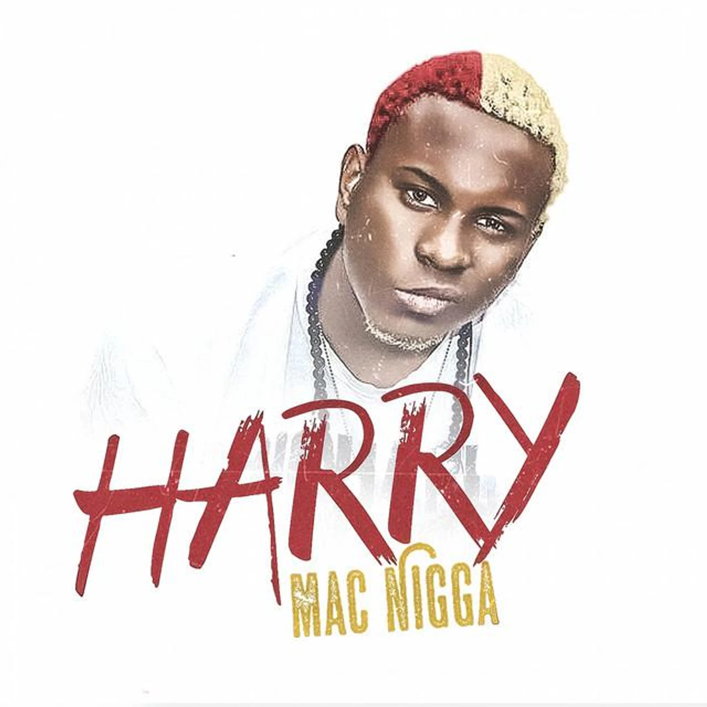 Harry Mac Niga