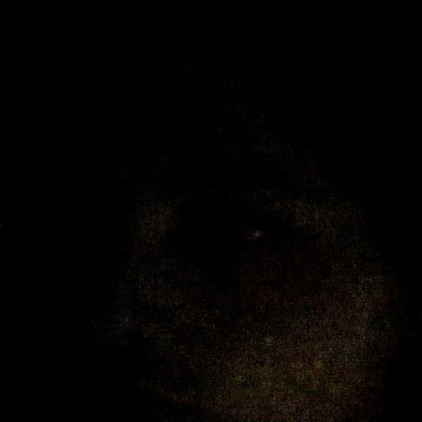 Haunted Disco