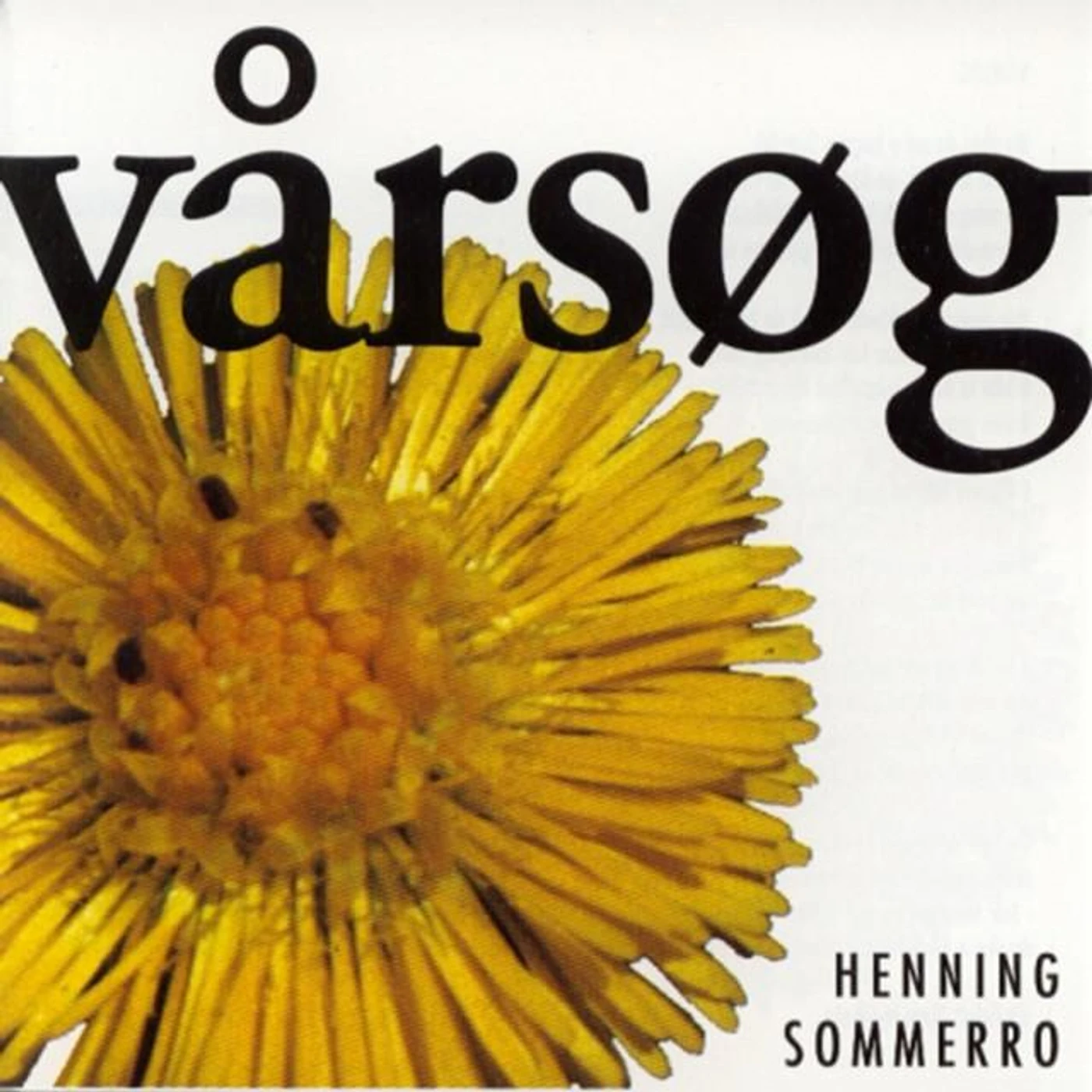 Henning Sommerro Brand Page