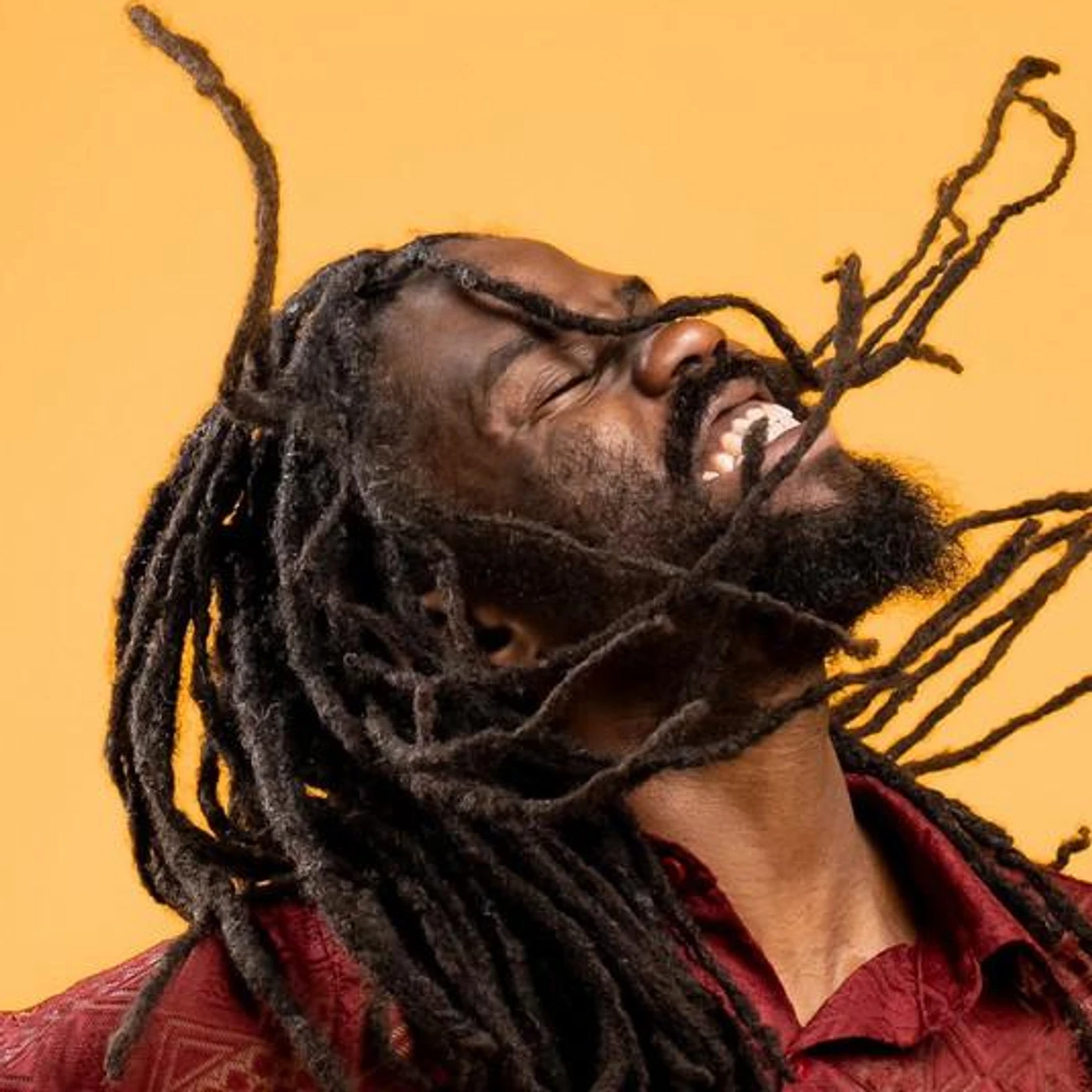 Hector Roots Lewis Brand Page