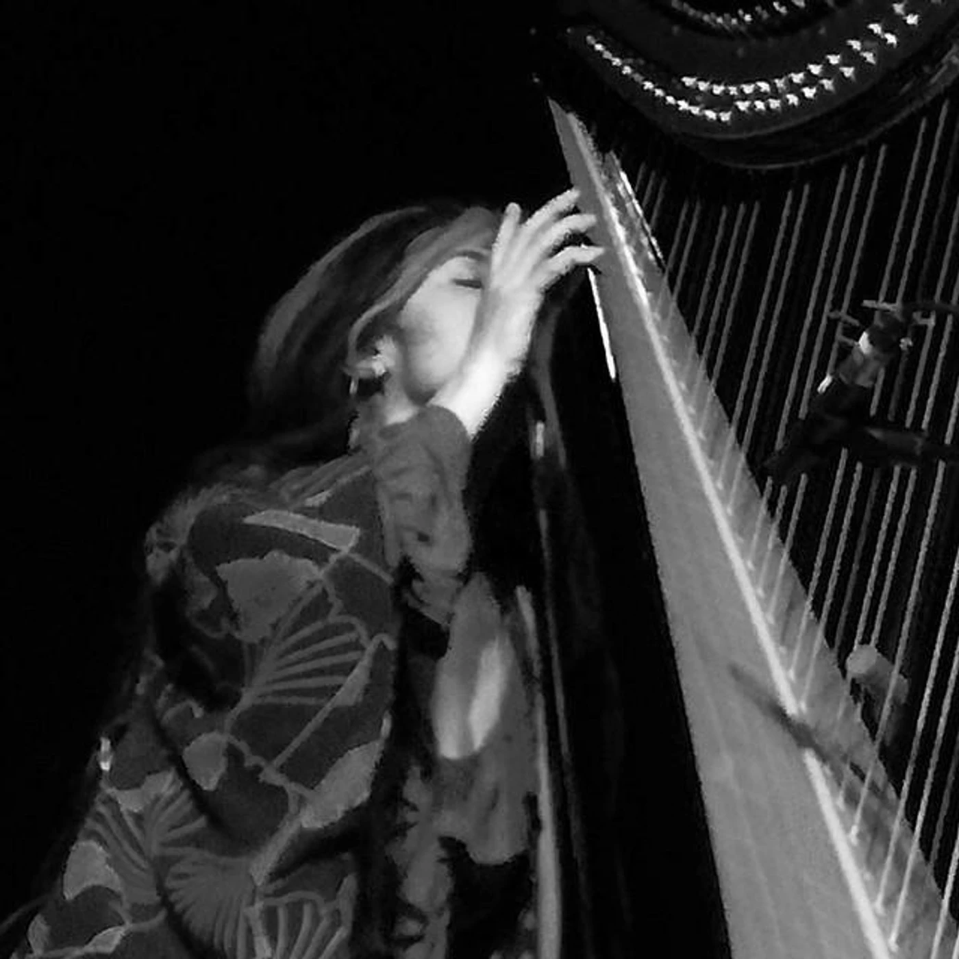 Hélène Breschand & Elliott Sharp Brand Page