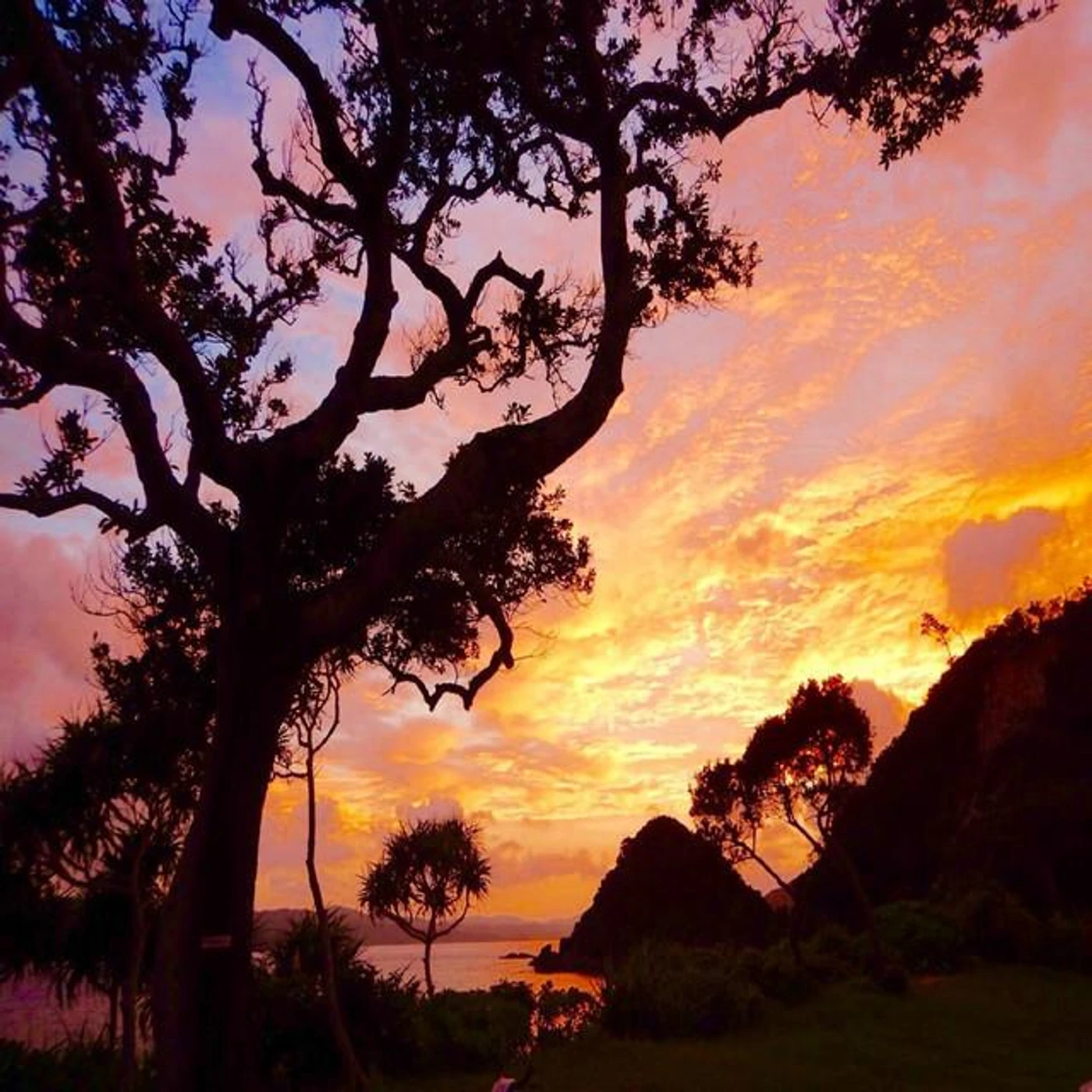 Hertha Kathleen Brand Page