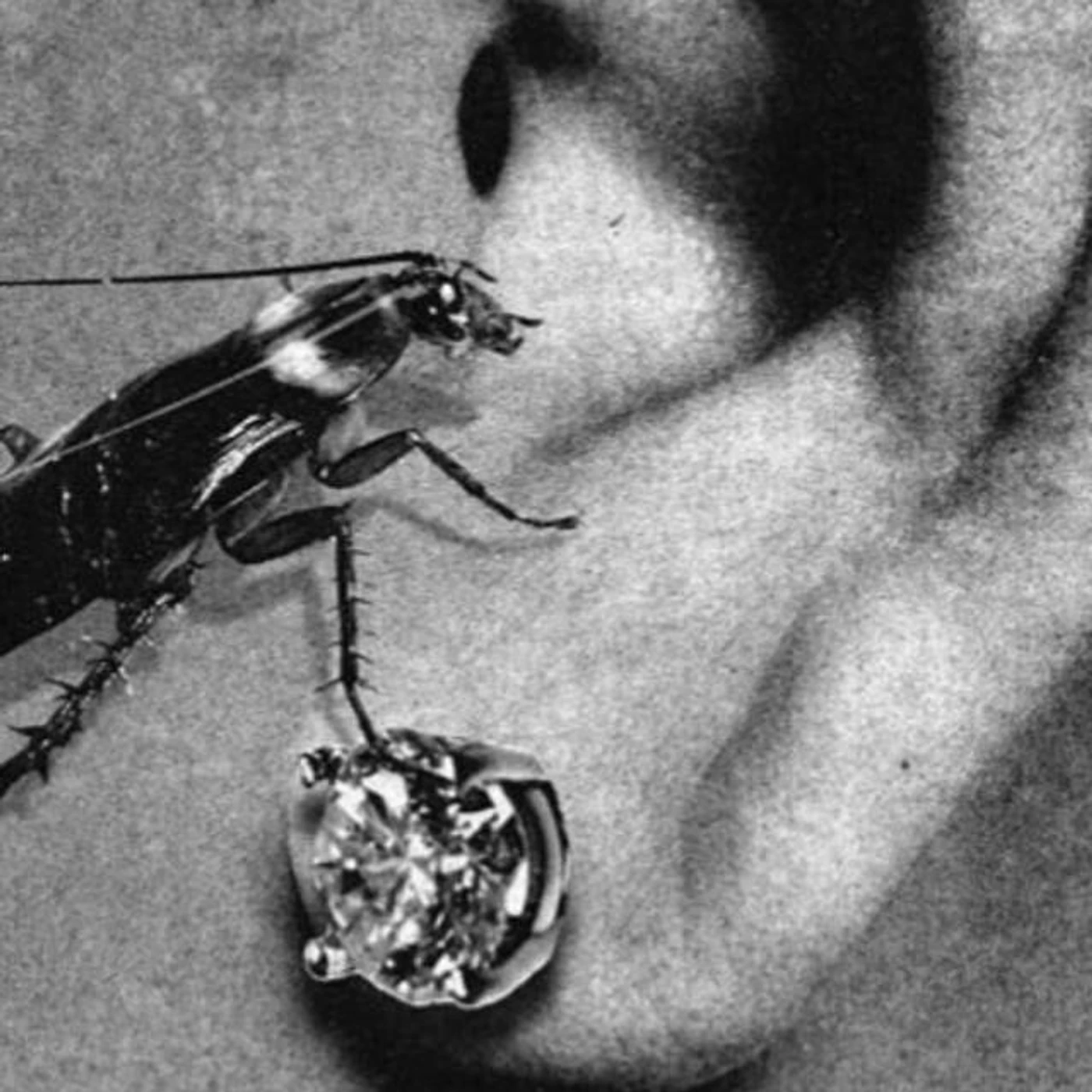 Hidden Ritual Brand Page