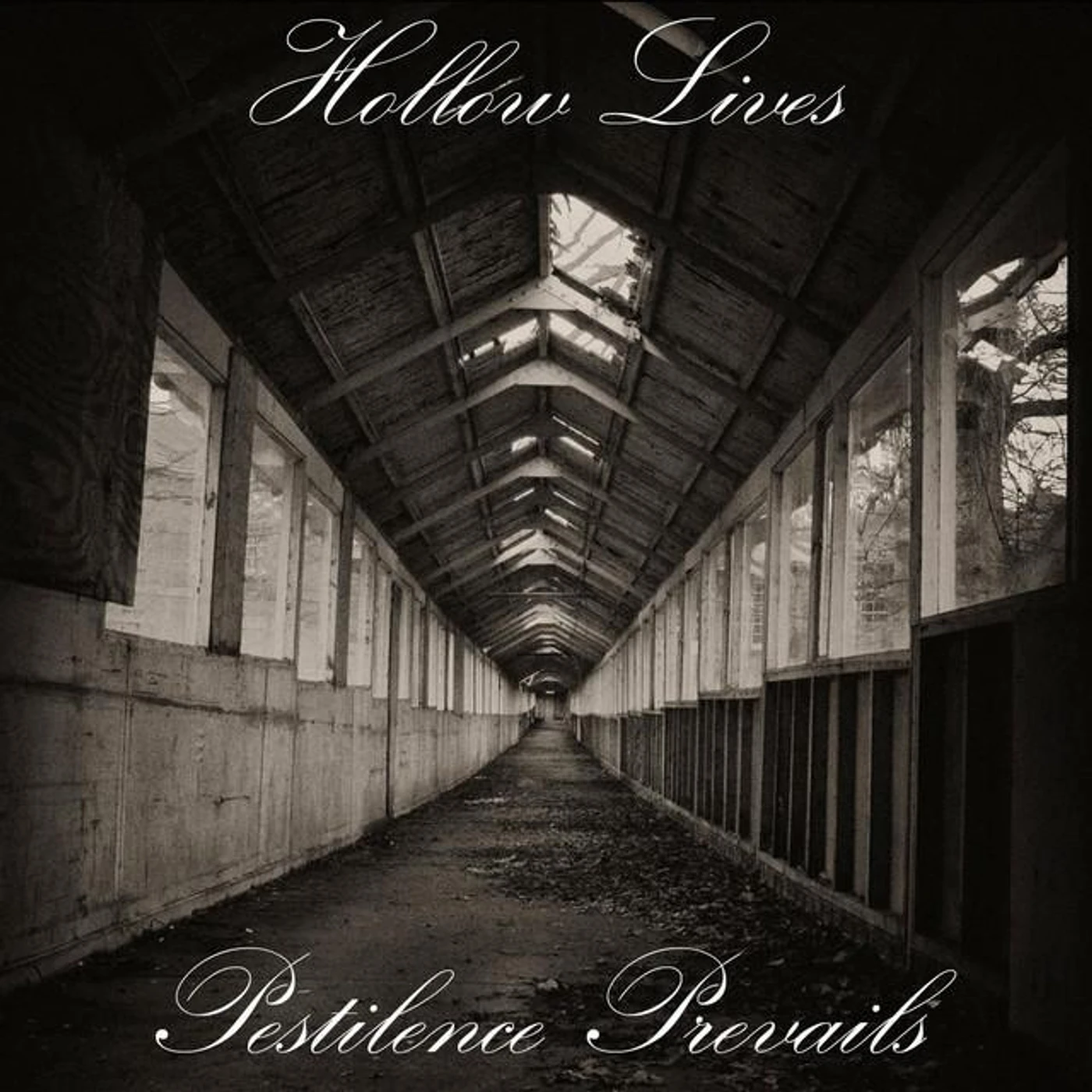 Hollow Lives